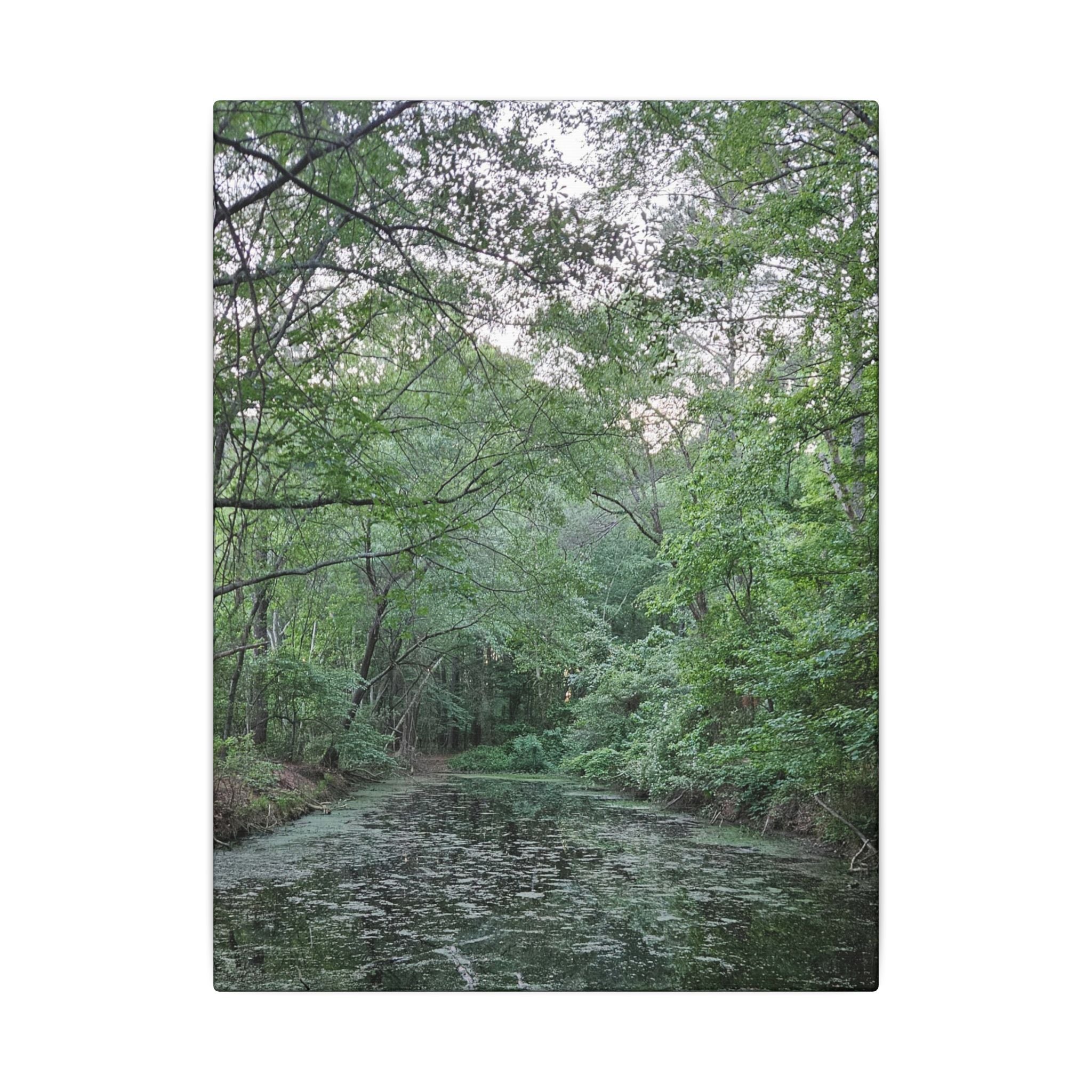 Mossy Pond Canvas Matte Stretched Wall Art
