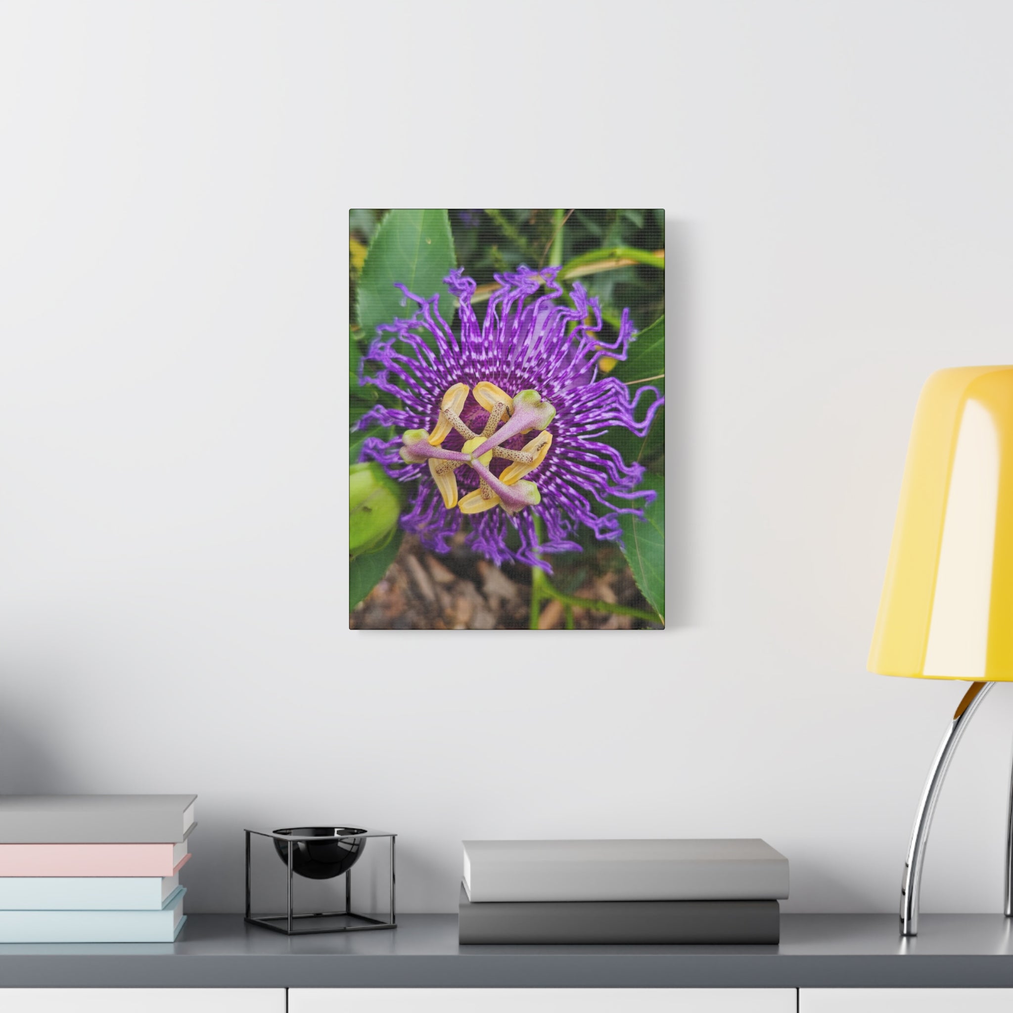 Purple Passionflower Close-Up Matte Canvas Print (Stretched)