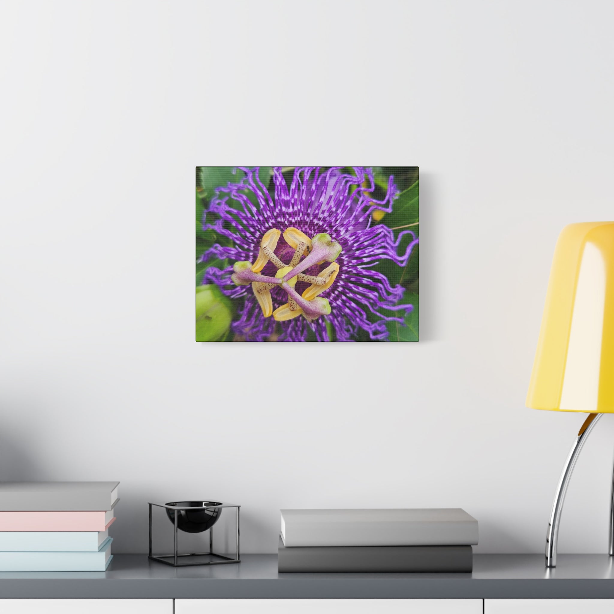 Purple Passionflower Close-Up Matte Canvas Print (Stretched)