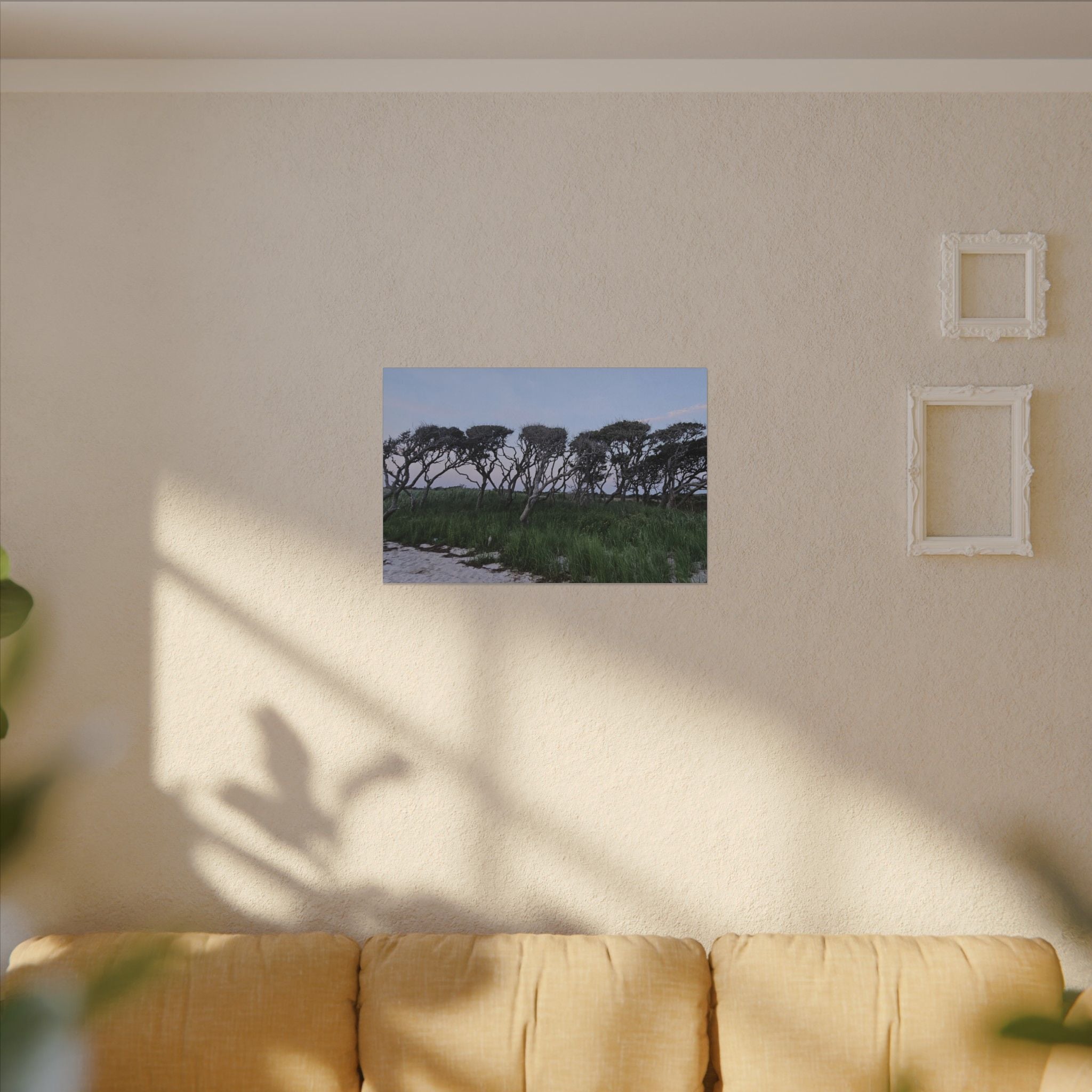 Coastal Windblown Trees Canvas