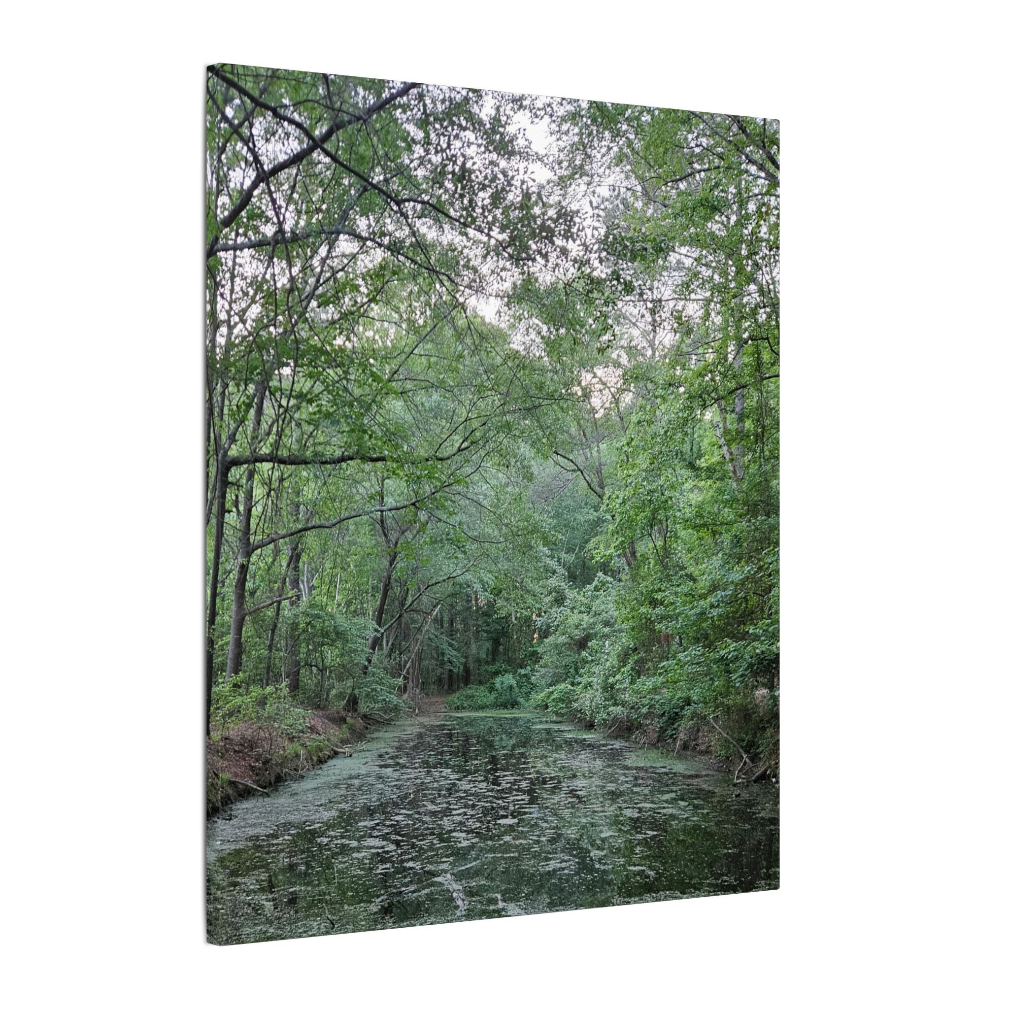 Mossy Pond Canvas Matte Stretched Wall Art