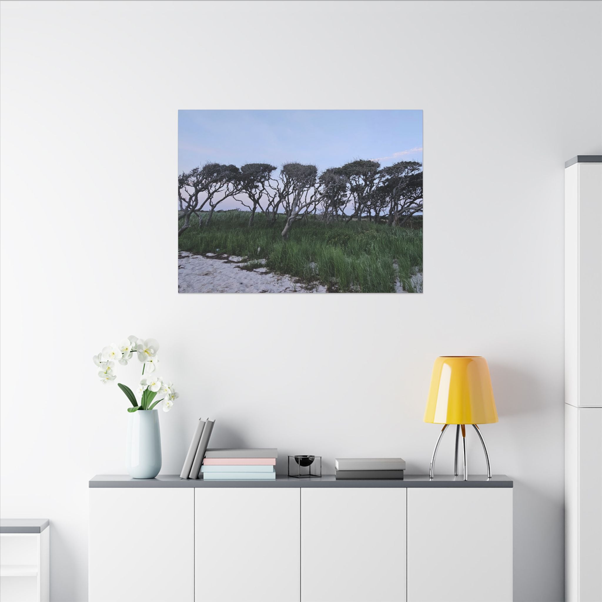 Coastal Windblown Trees Canvas