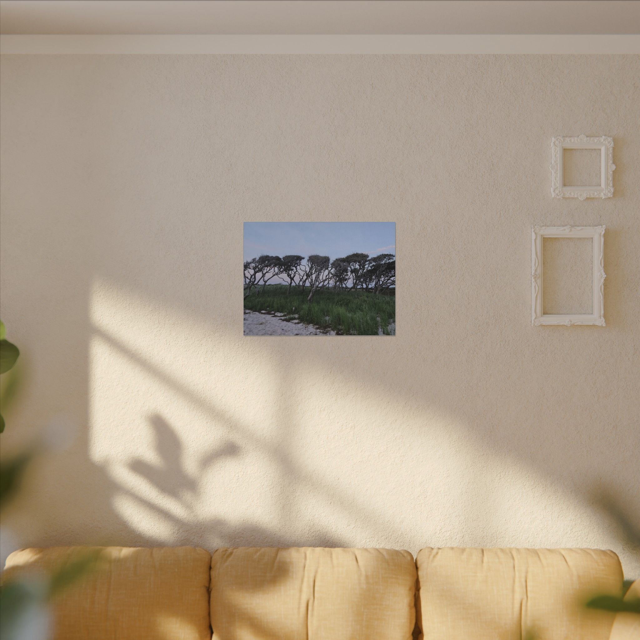 Coastal Windblown Trees Canvas