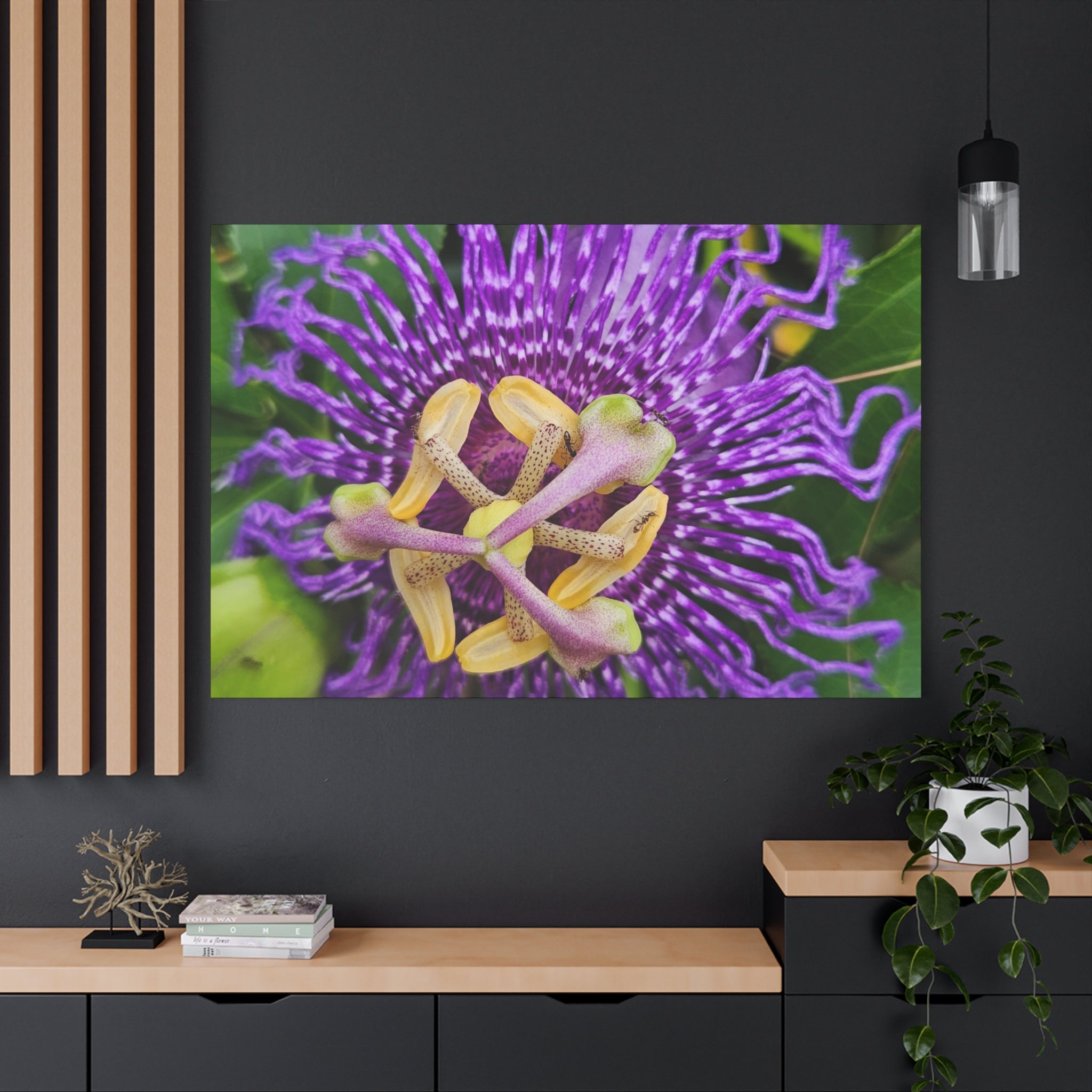 Purple Passionflower Close-Up Matte Canvas Print (Stretched)