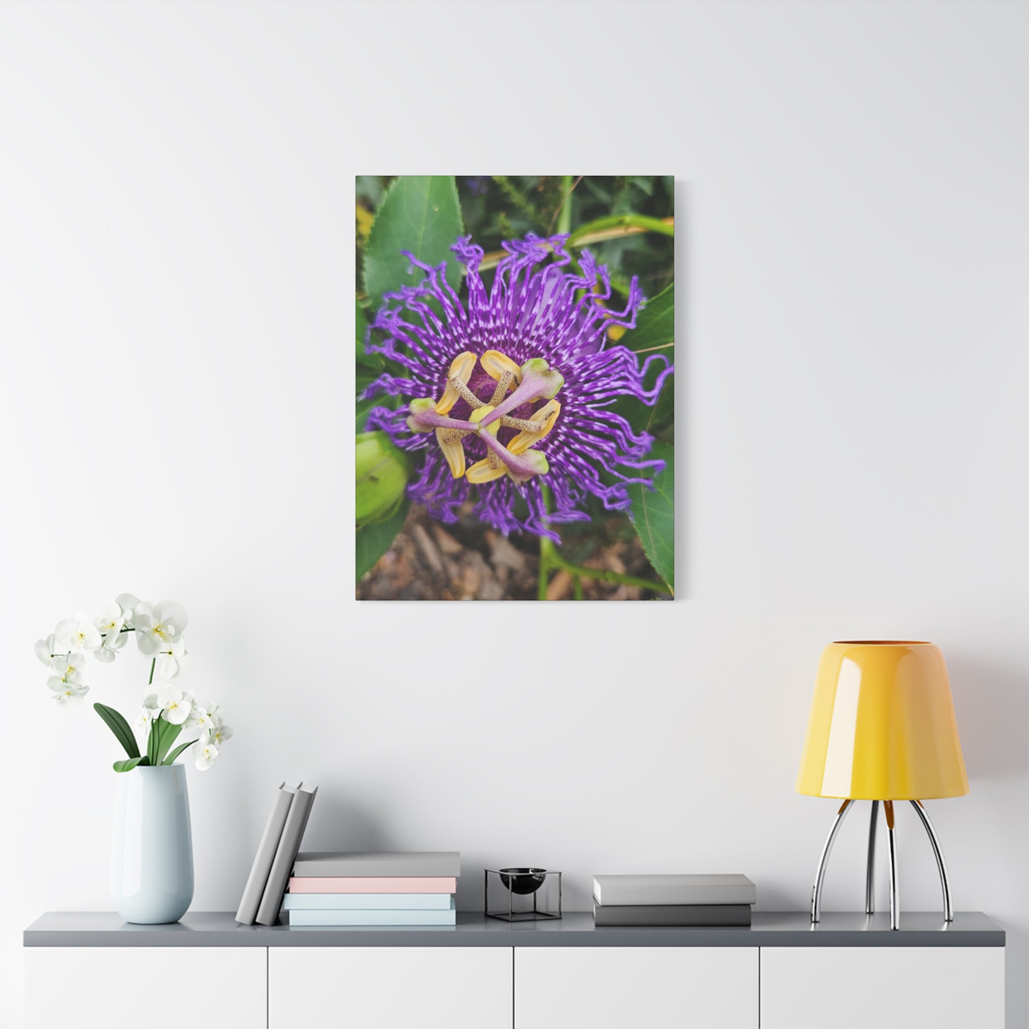 Purple Passionflower Close-Up Matte Canvas Print (Stretched)