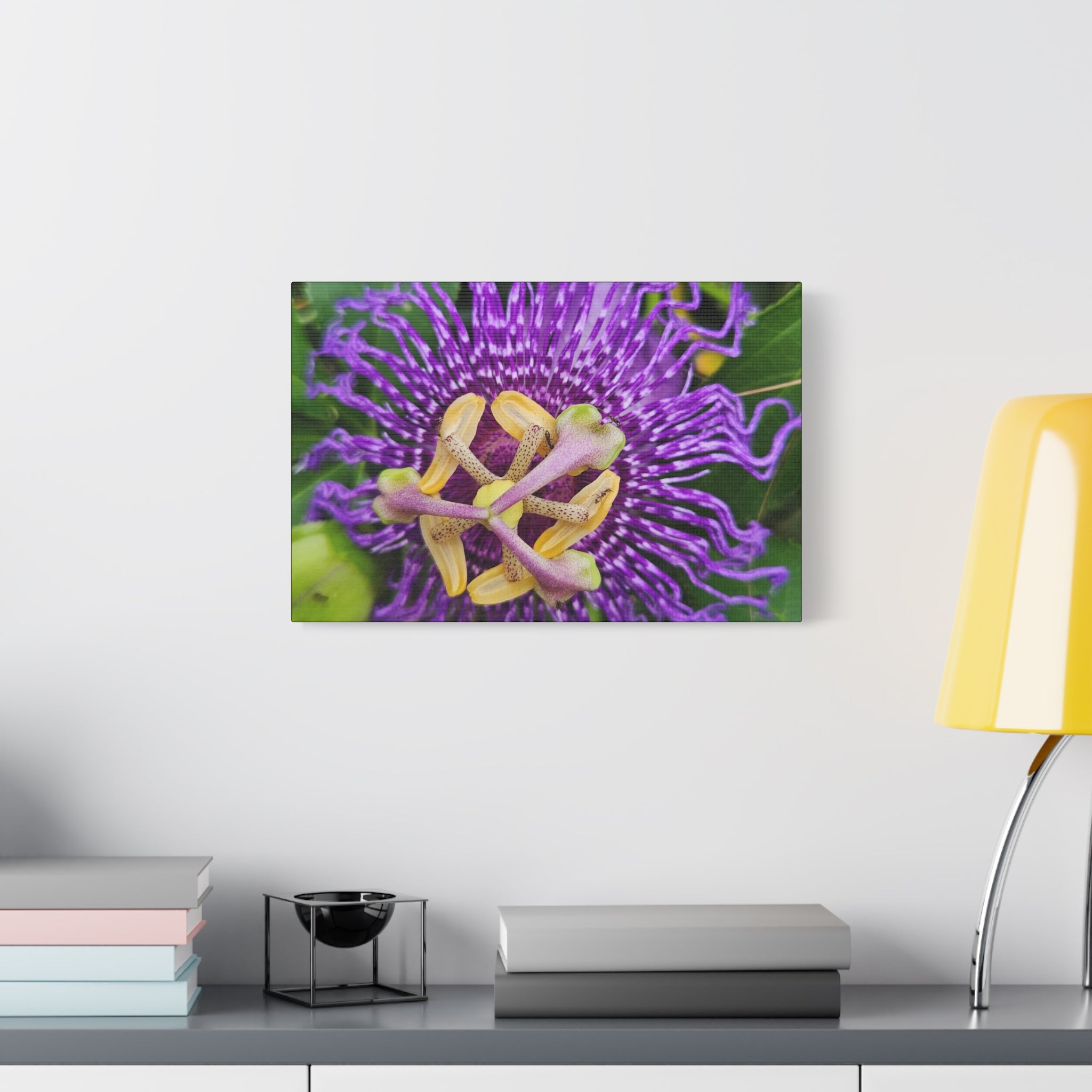 Purple Passionflower Close-Up Matte Canvas Print (Stretched)
