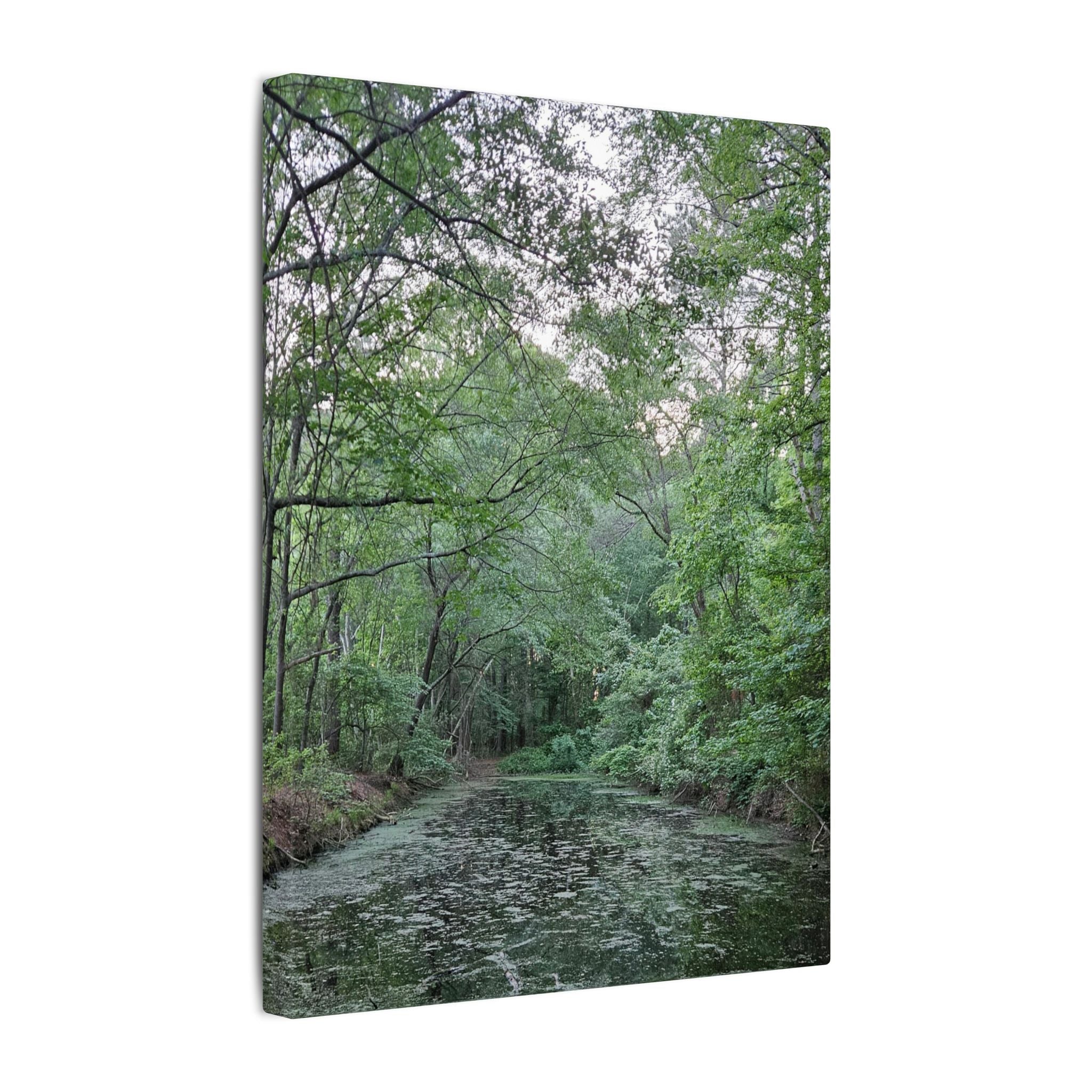 Mossy Pond Canvas Matte Stretched Wall Art