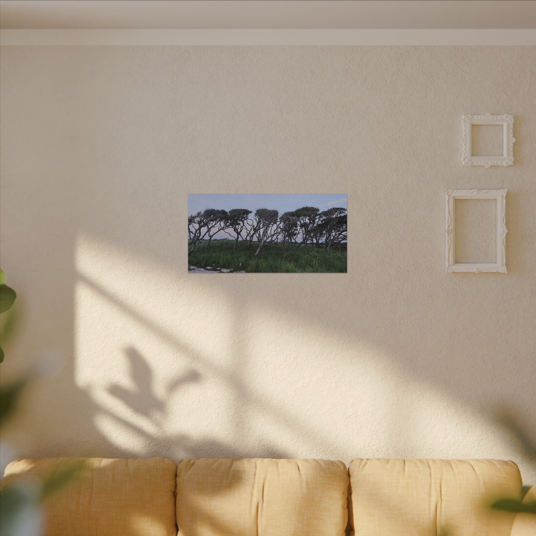 Coastal Windblown Trees Canvas