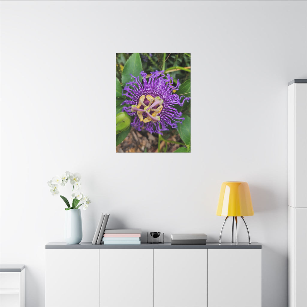 Purple Passionflower Botanical Canvas