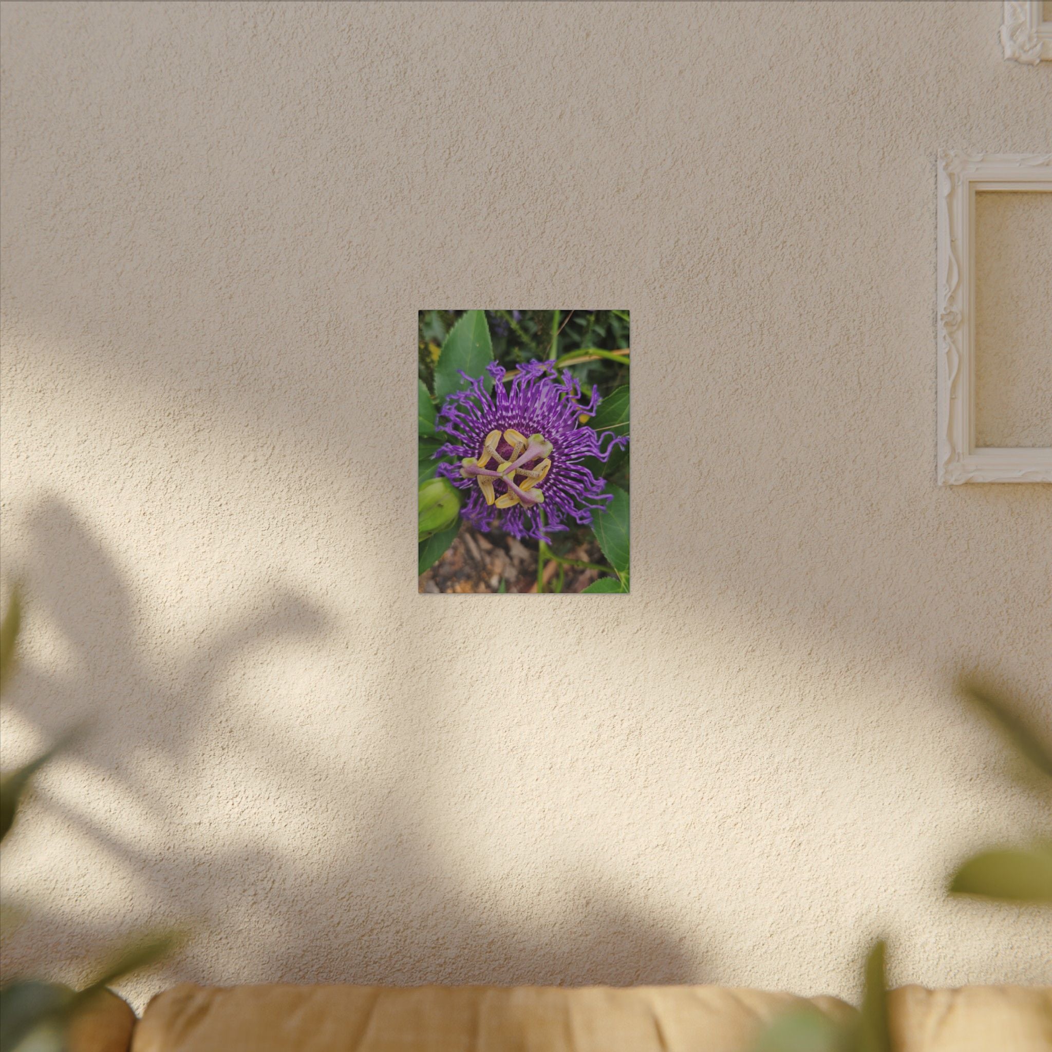 Purple Passionflower Botanical Canvas