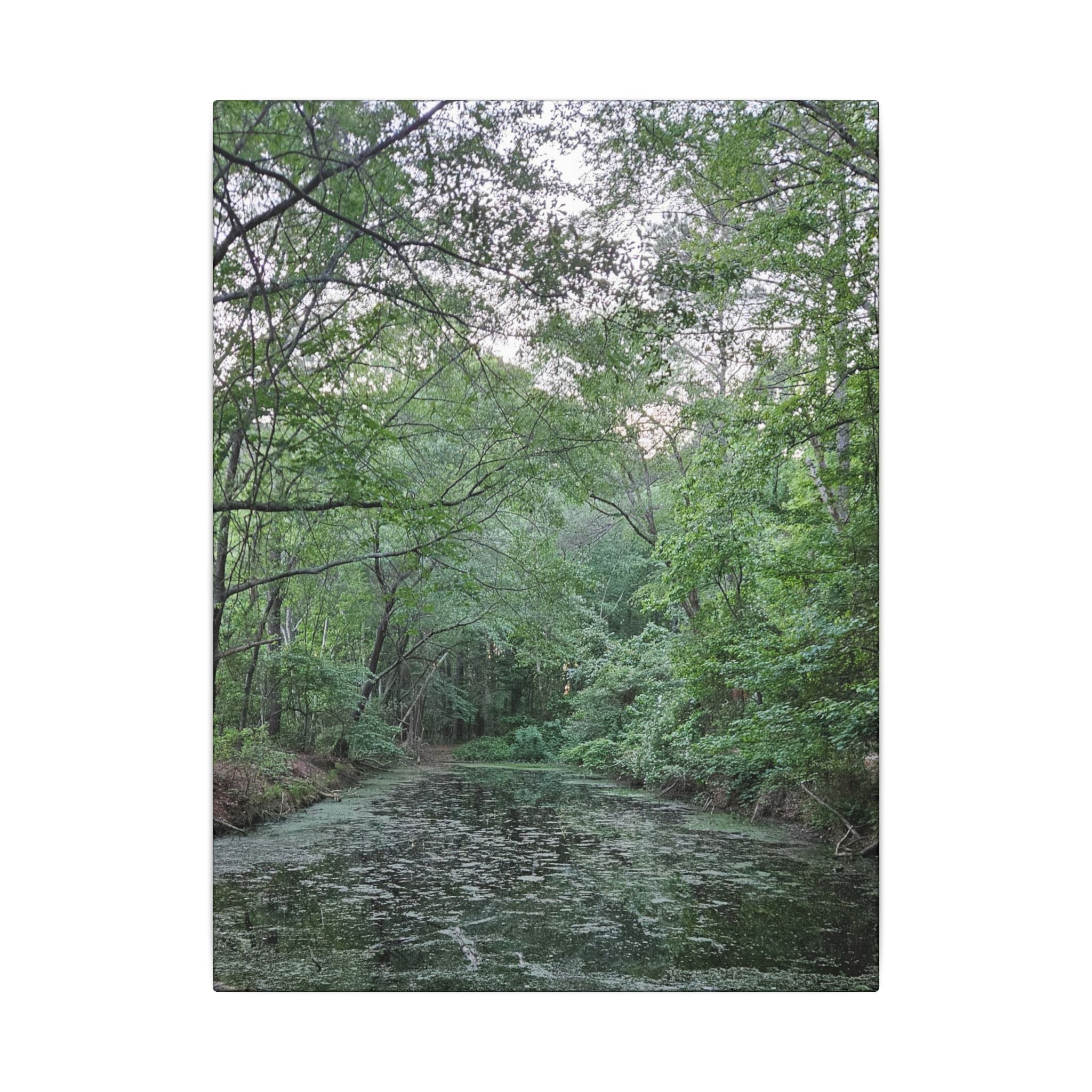 Mossy Pond Canvas Matte Stretched Wall Art
