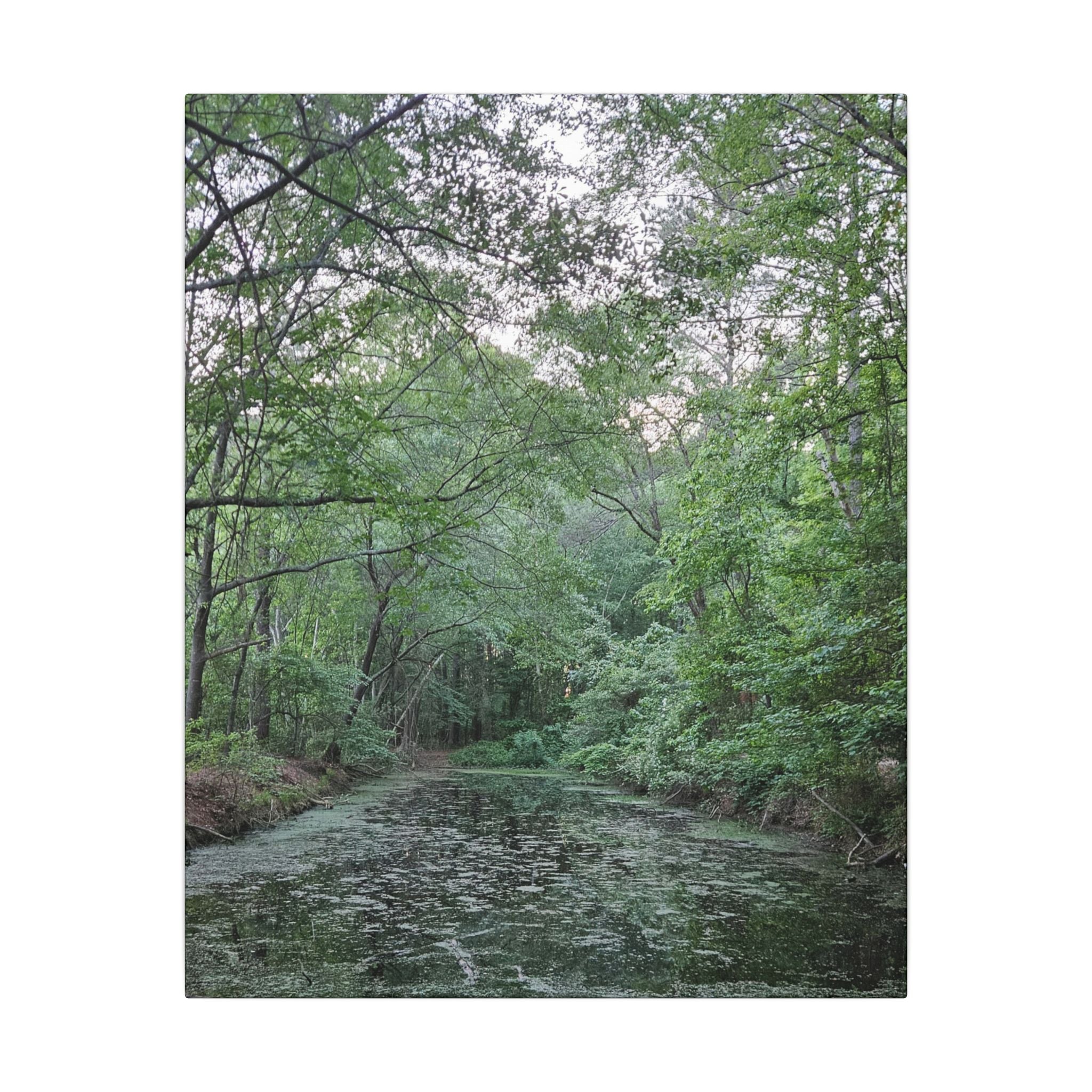 Mossy Pond Canvas Matte Stretched Wall Art