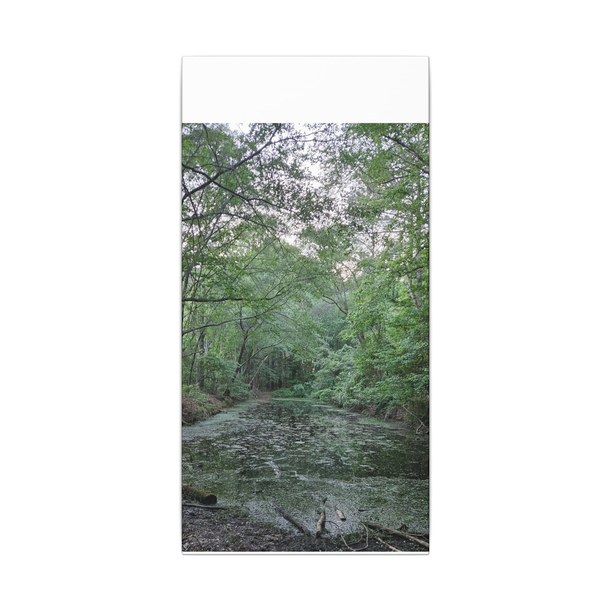 Mossy Pond Canvas Matte Stretched Wall Art
