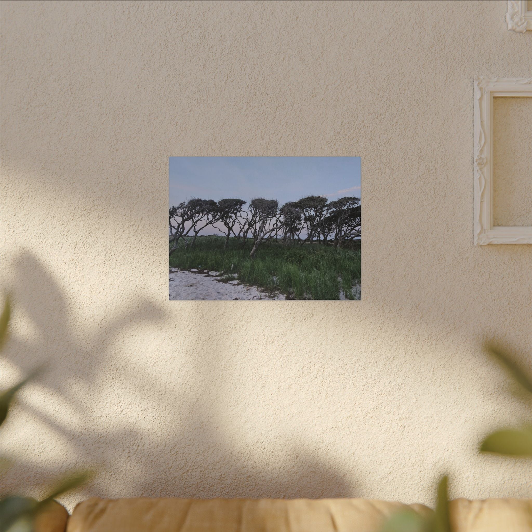 Coastal Windblown Trees Canvas