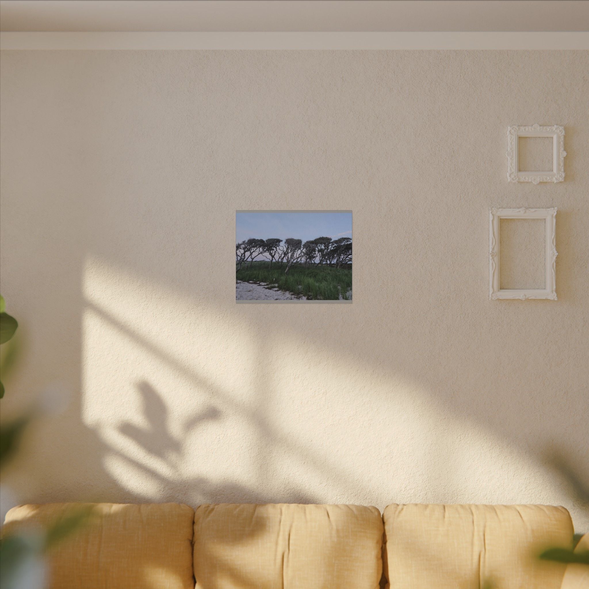 Coastal Windblown Trees Canvas
