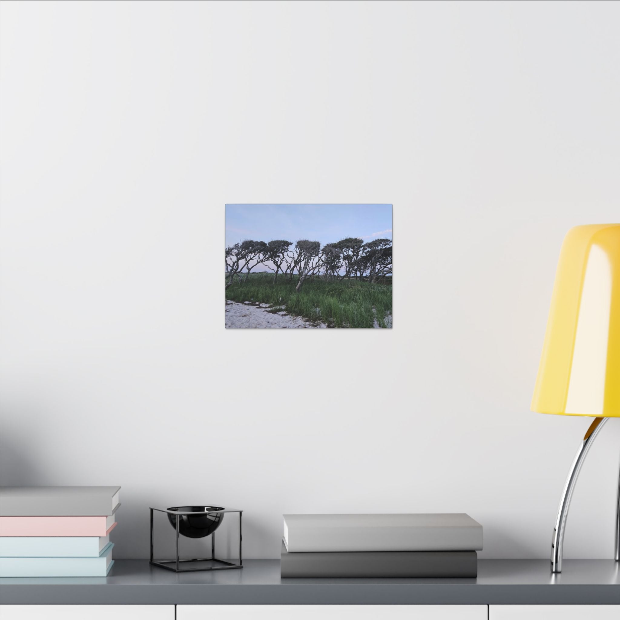 Coastal Windblown Trees Canvas