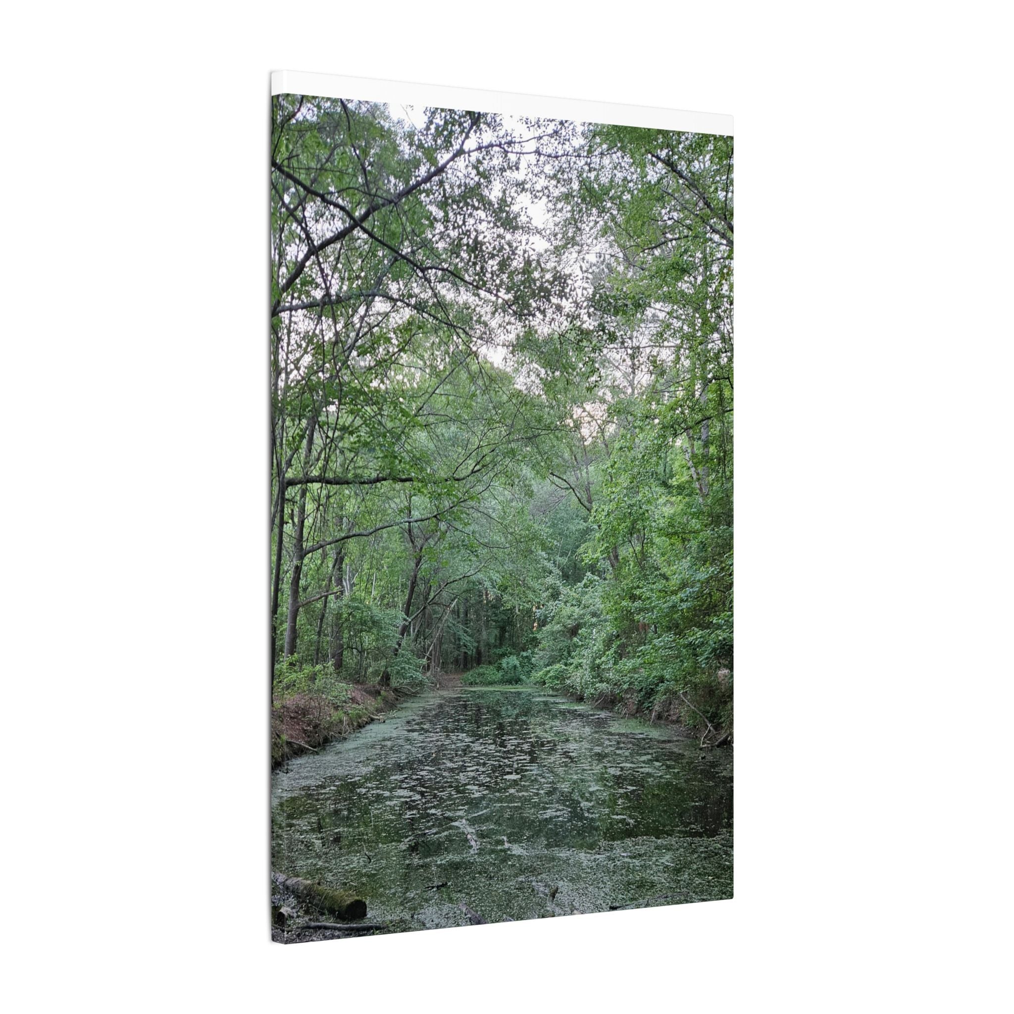 Mossy Pond Canvas Matte Stretched Wall Art