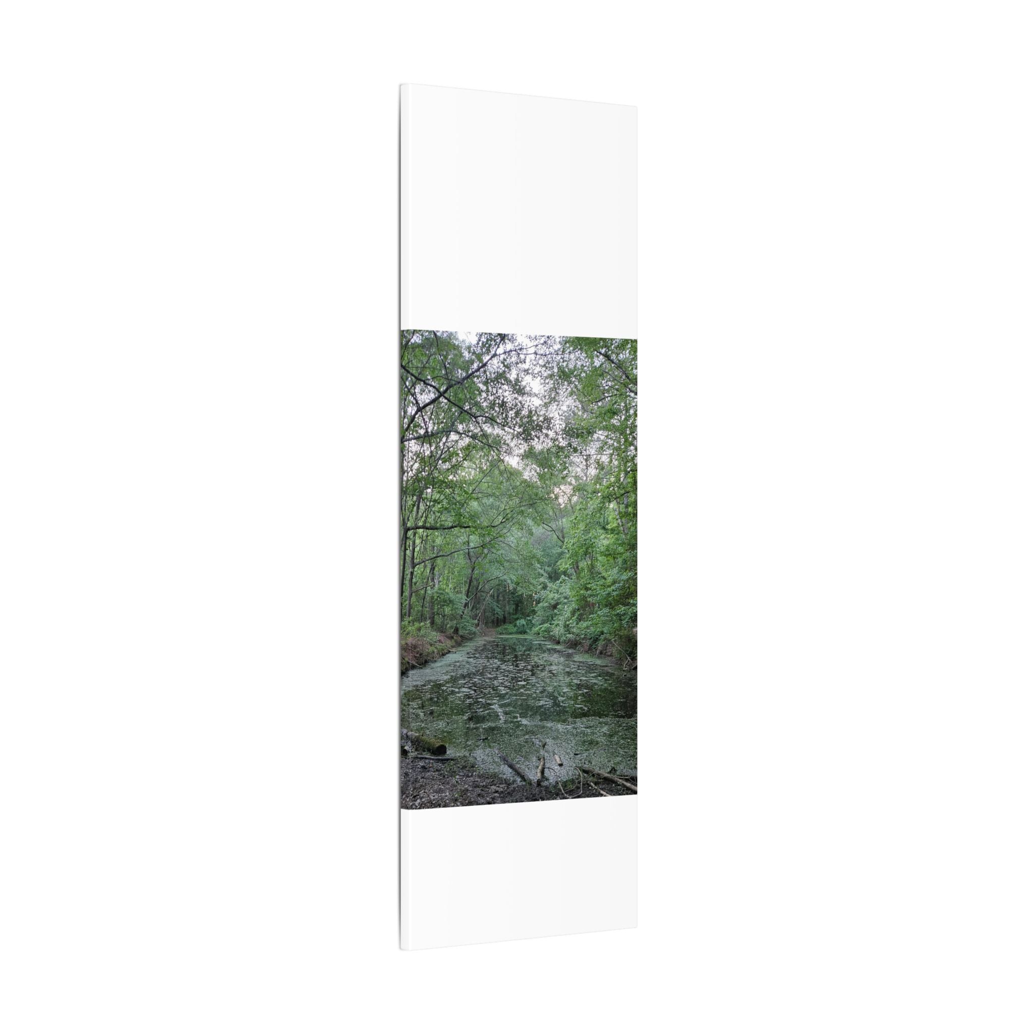 Mossy Pond Canvas Matte Stretched Wall Art