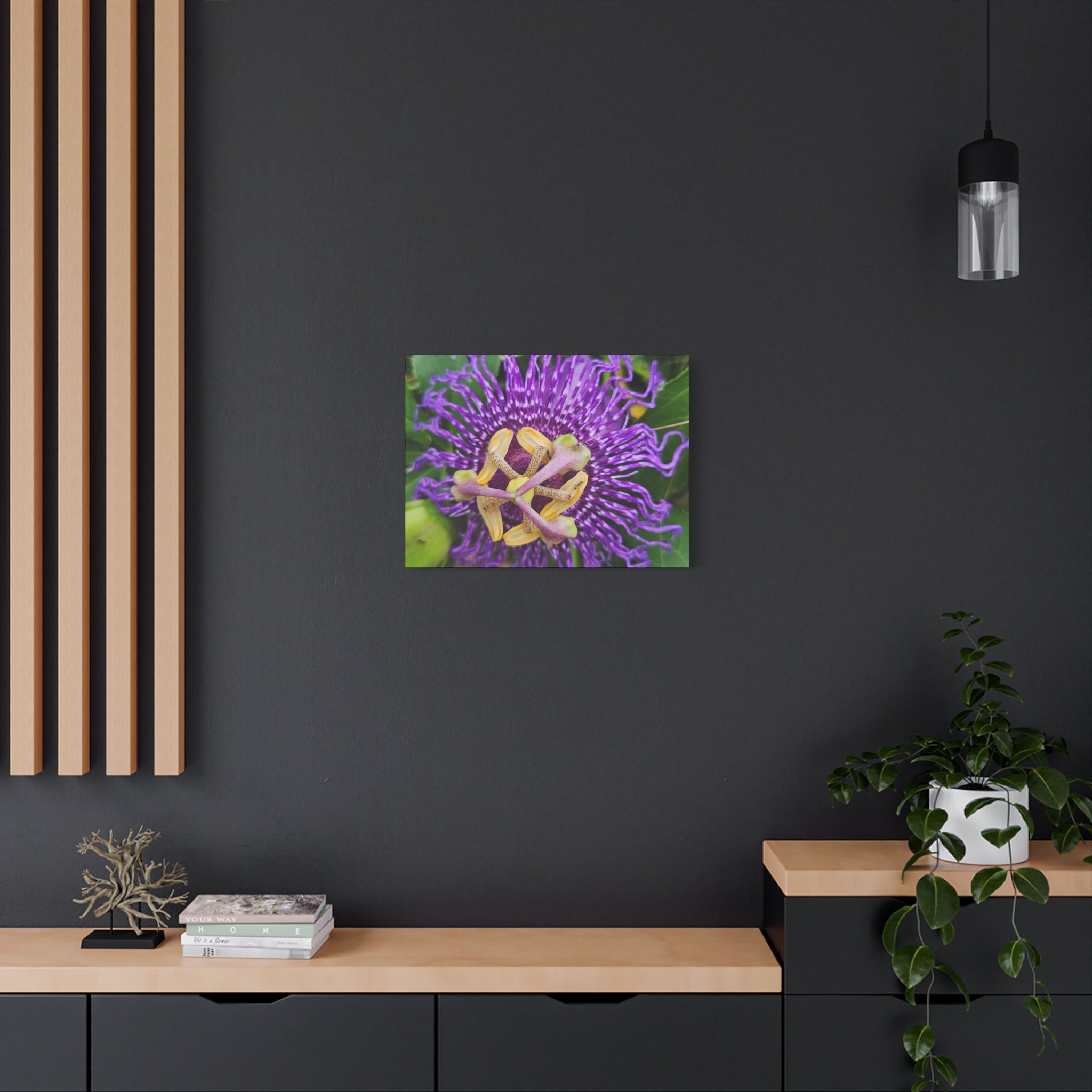 Purple Passionflower Close-Up Matte Canvas Print (Stretched)