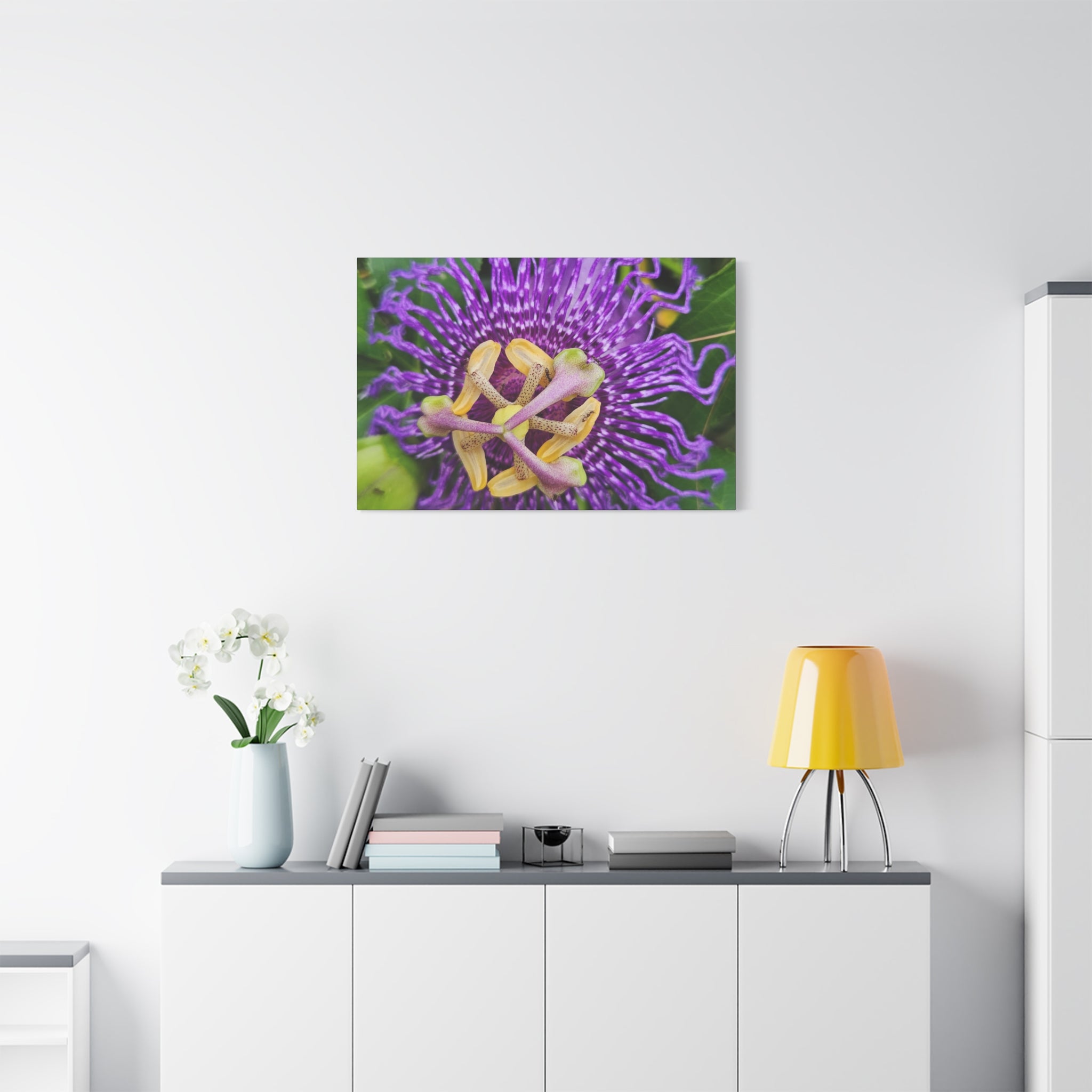 Purple Passionflower Close-Up Matte Canvas Print (Stretched)
