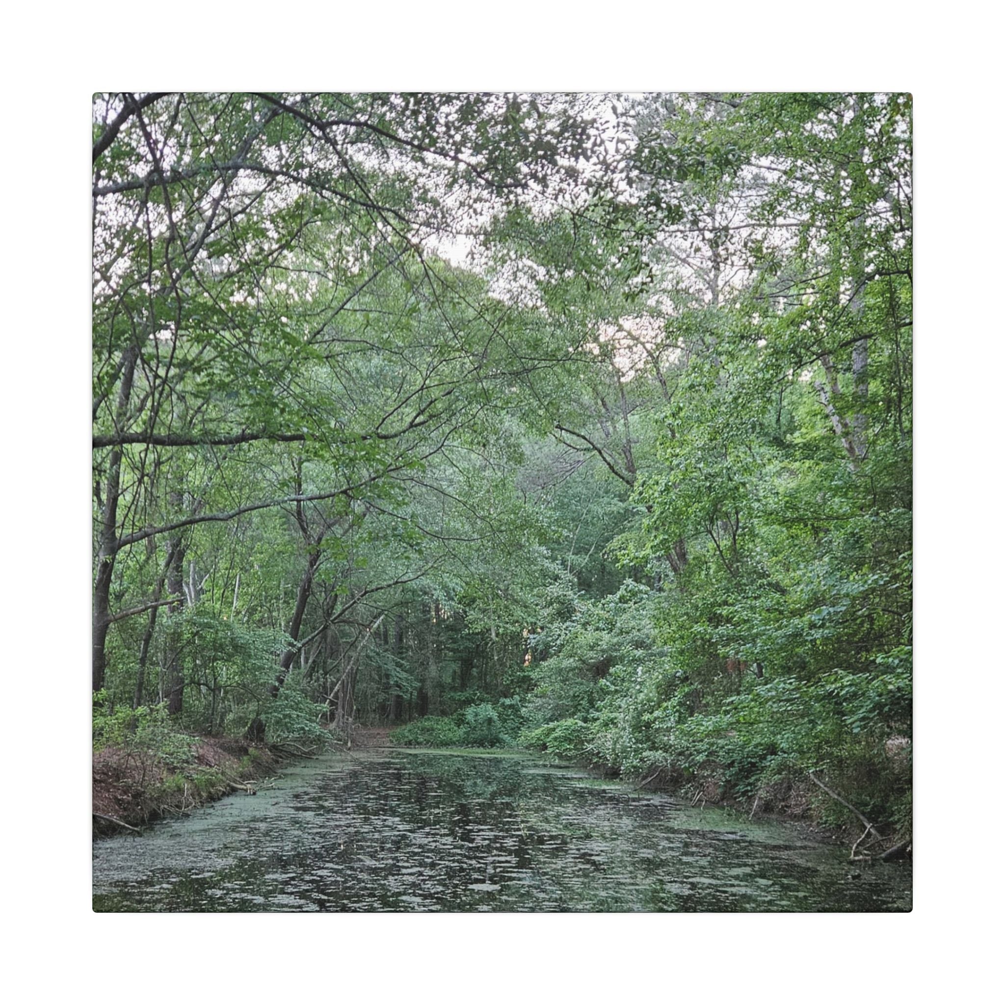 Mossy Pond Canvas Matte Stretched Wall Art