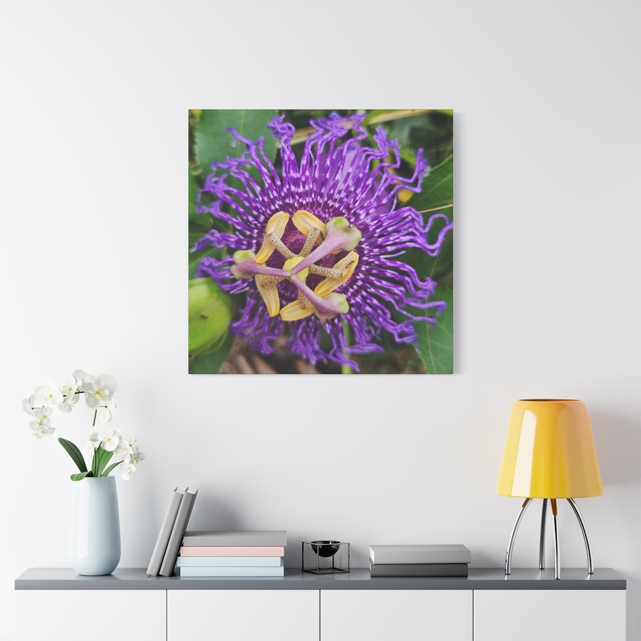 Purple Passionflower Close-Up Matte Canvas Print (Stretched)