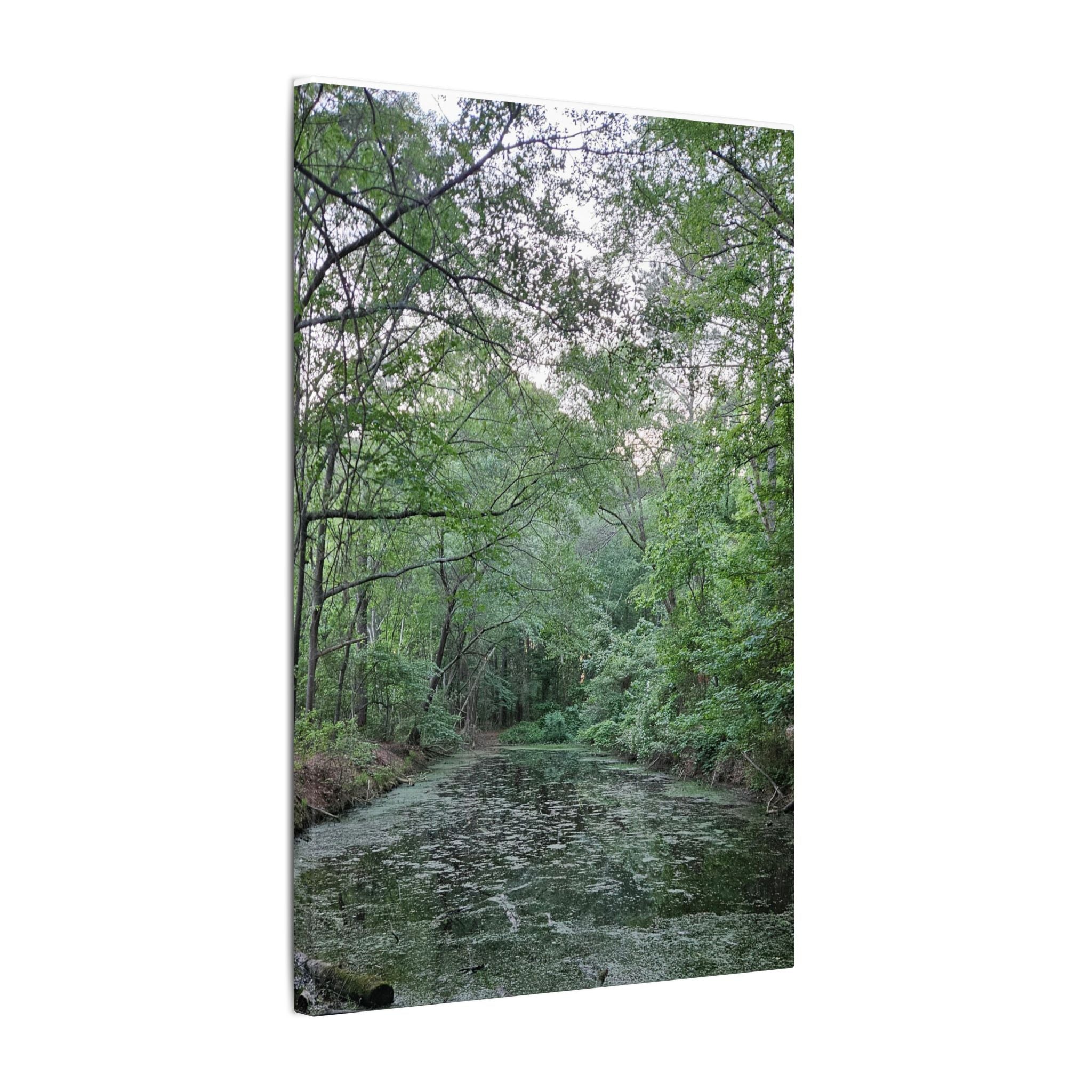 Mossy Pond Canvas Matte Stretched Wall Art