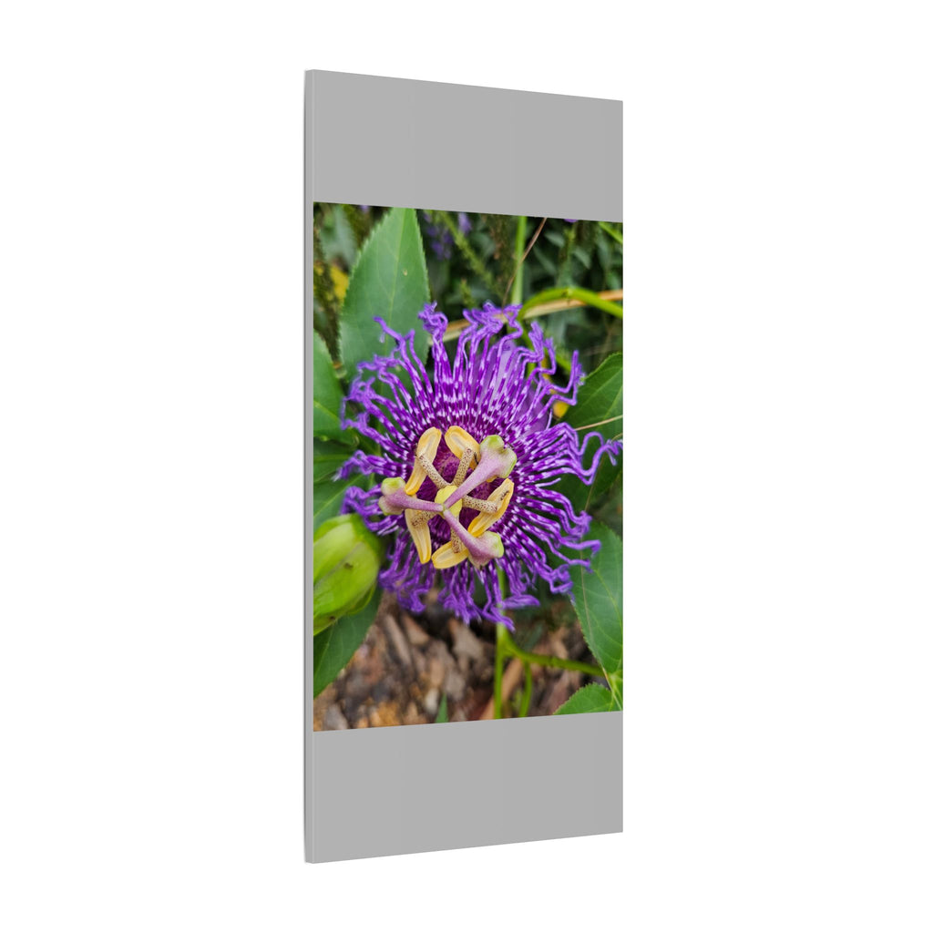 Purple Passionflower Botanical Canvas