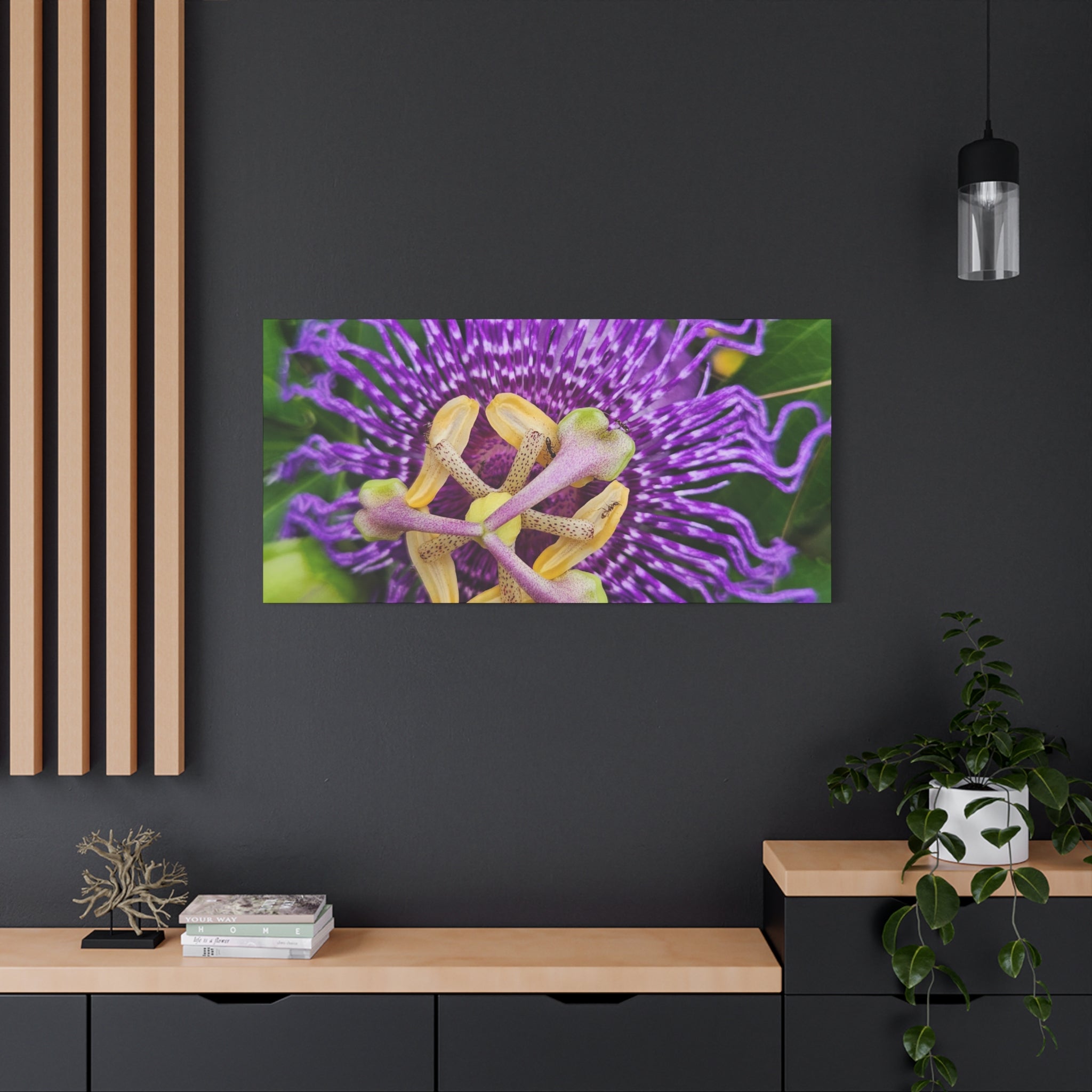 Purple Passionflower Close-Up Matte Canvas Print (Stretched)