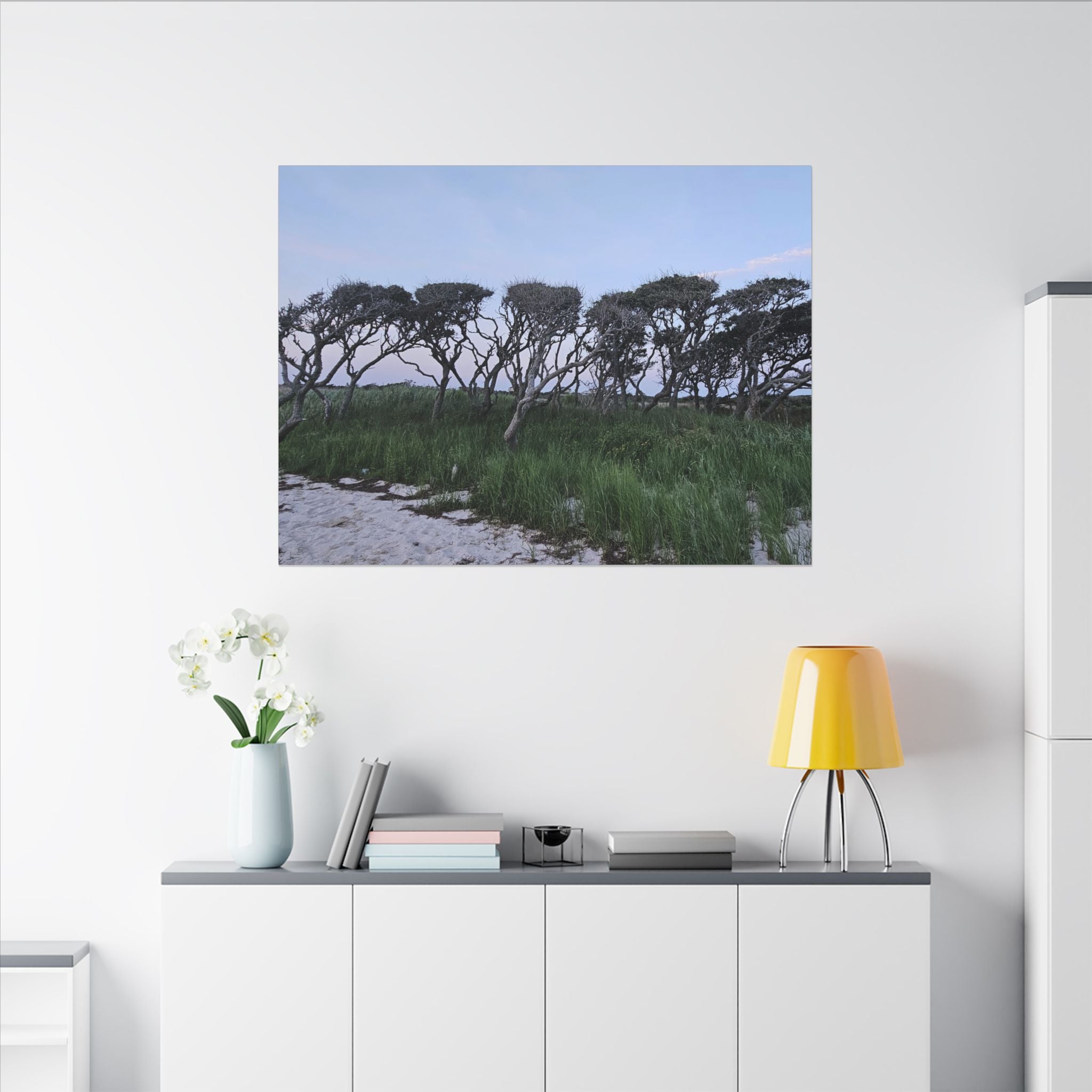 Coastal Windblown Trees Canvas
