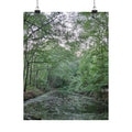 Mossy Pond Matte Poster | Vertical Nature Wall Art