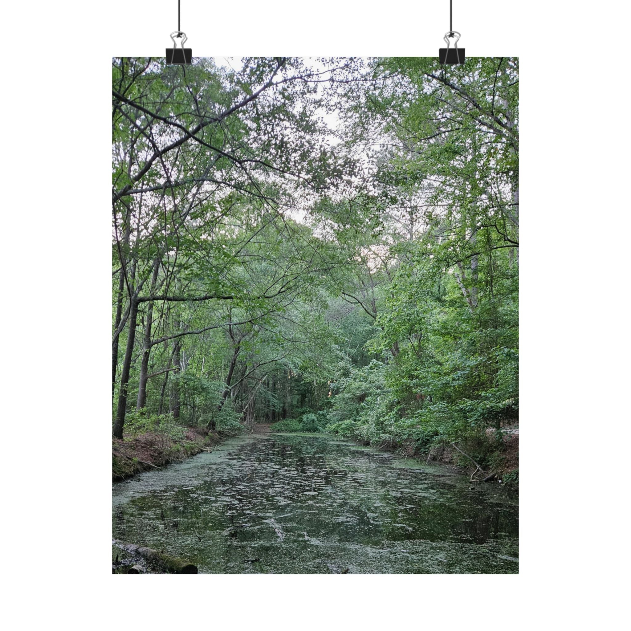 Mossy Pond Matte Poster | Vertical Nature Wall Art