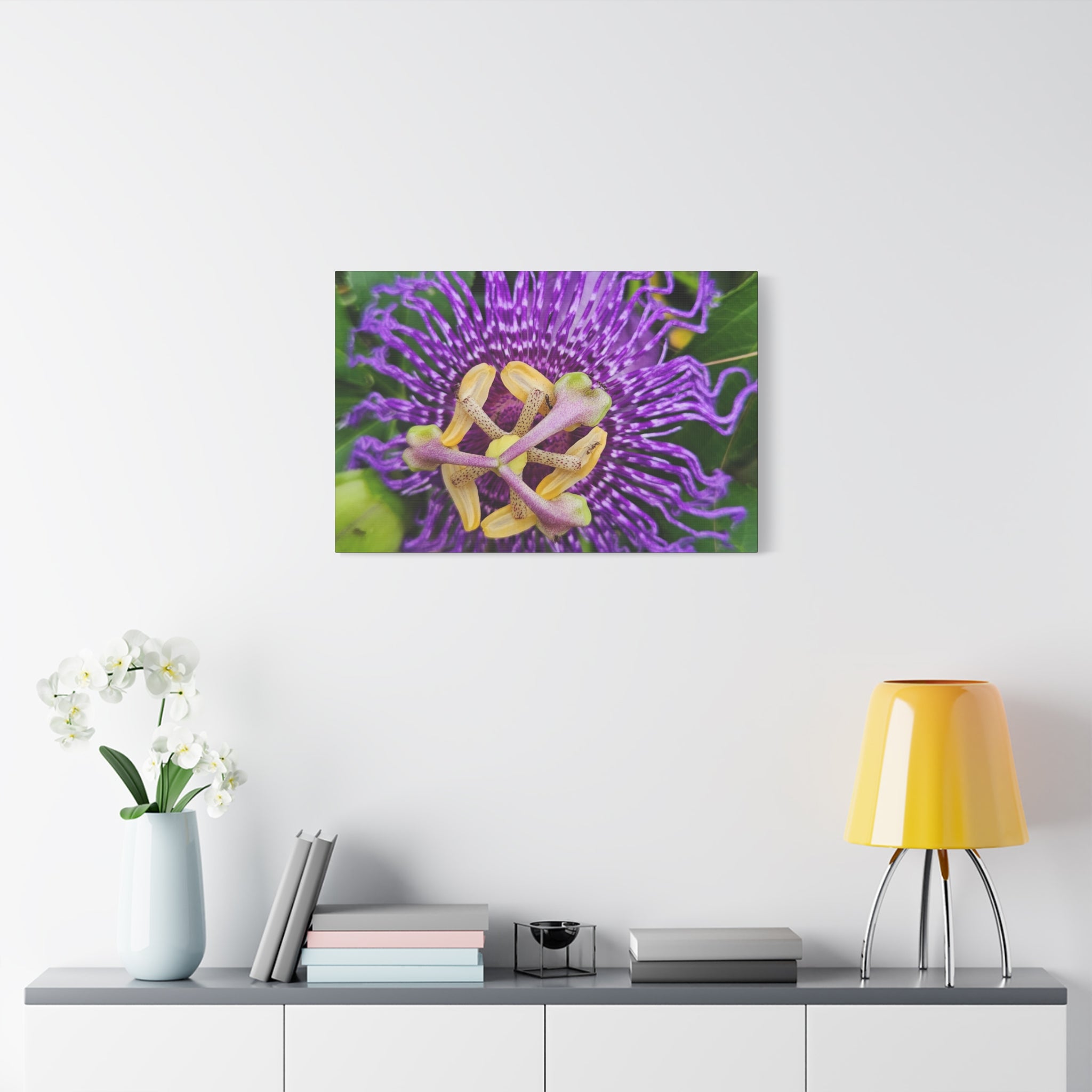Purple Passionflower Close-Up Matte Canvas Print (Stretched)