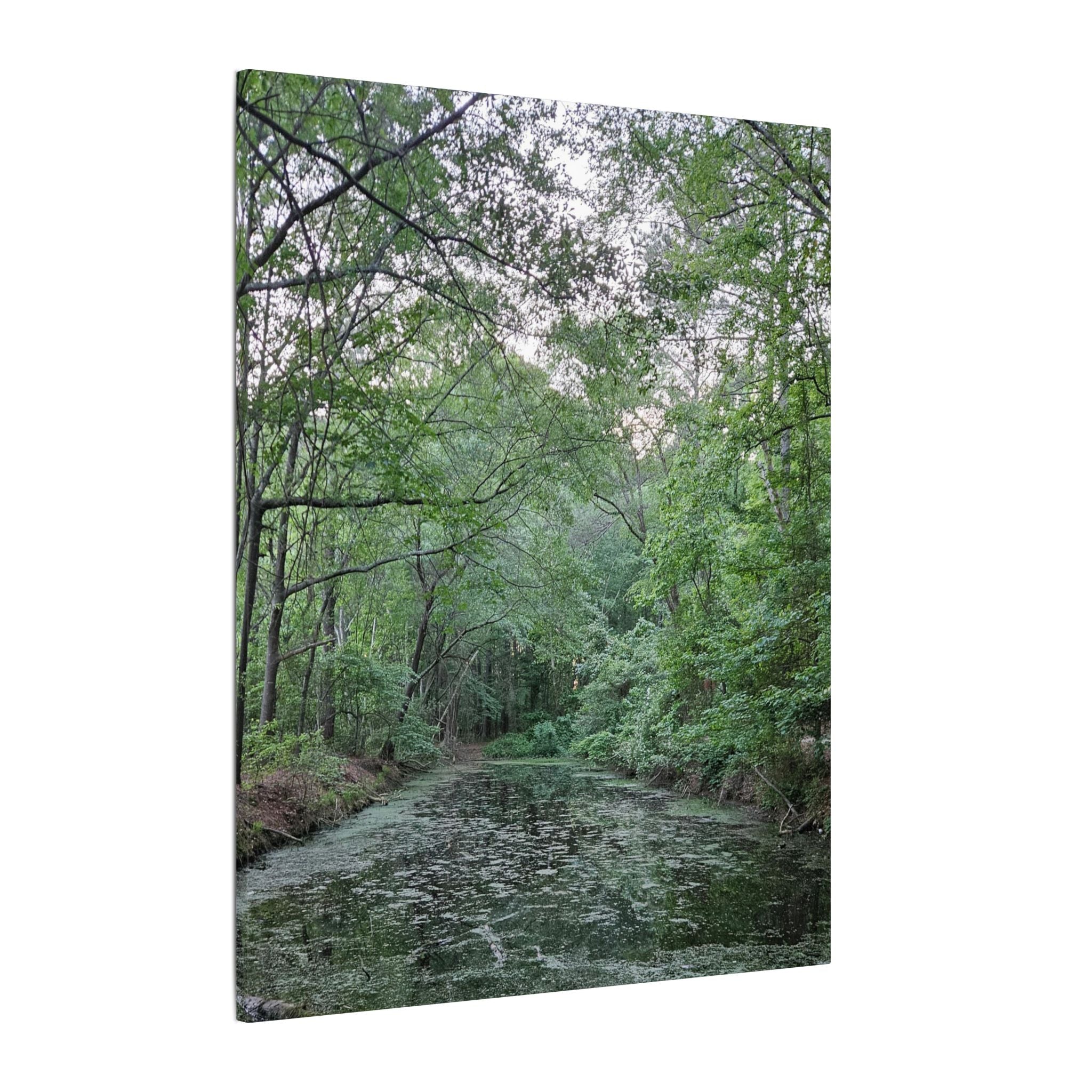 Mossy Pond Canvas Matte Stretched Wall Art