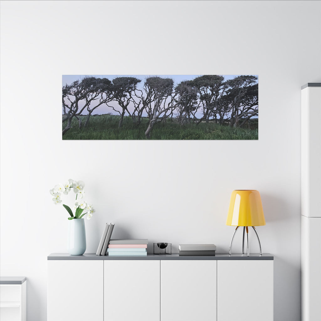 Coastal Windblown Trees Canvas