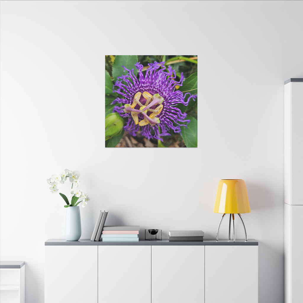 Purple Passionflower Botanical Canvas