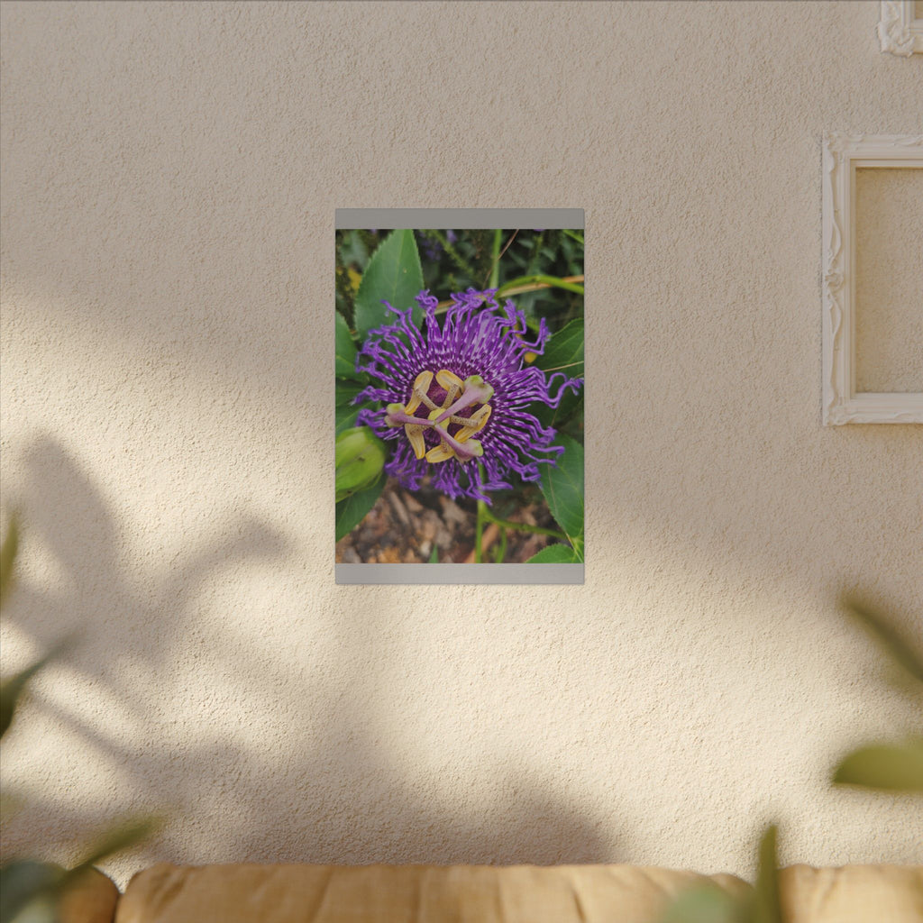 Purple Passionflower Botanical Canvas