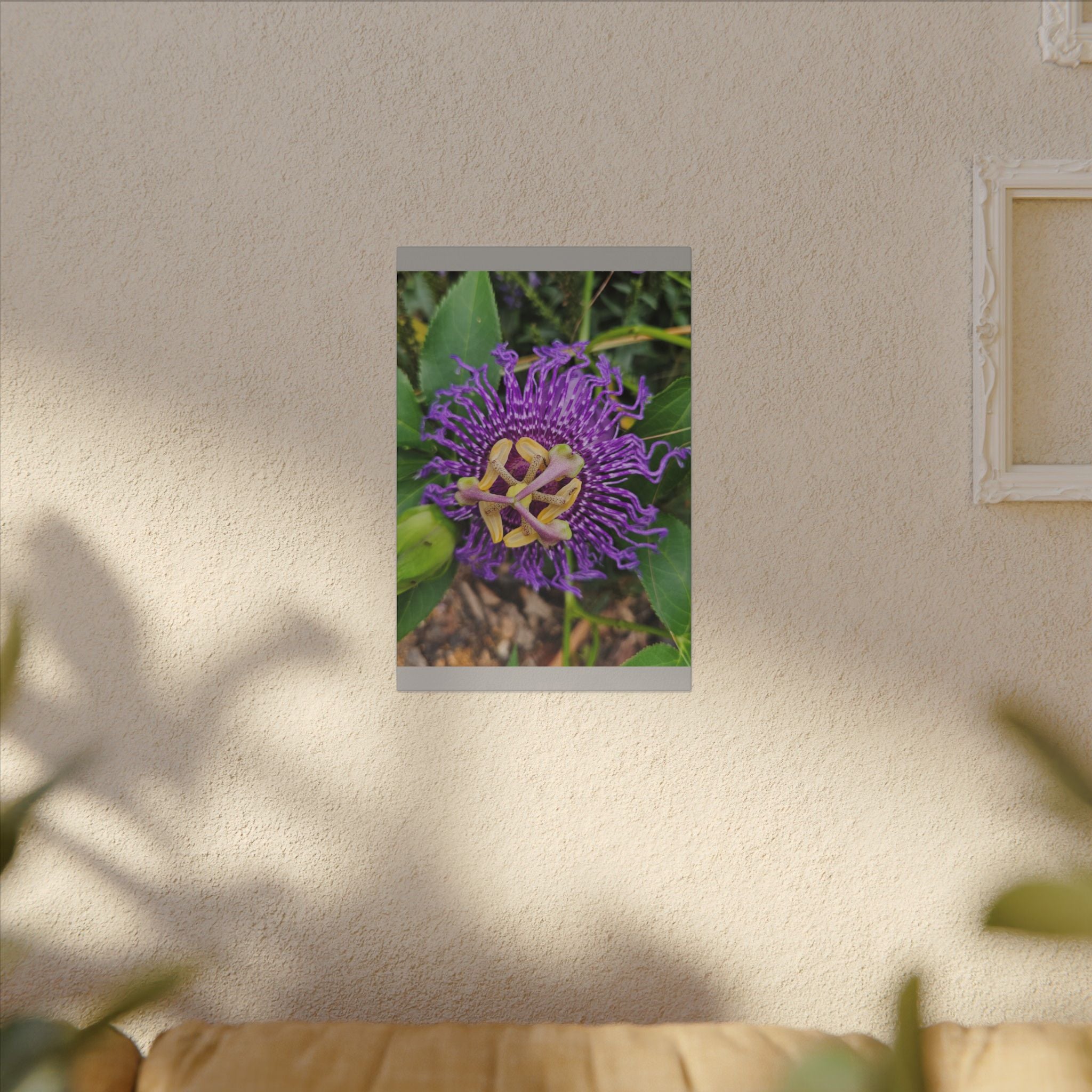 Purple Passionflower Botanical Canvas