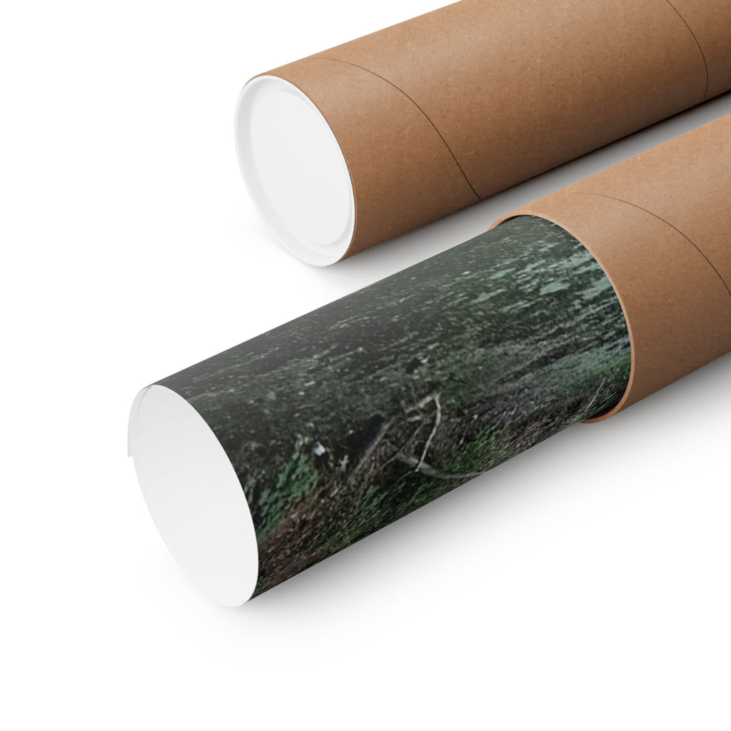 Mossy Pond Matte Poster | Vertical Nature Wall Art