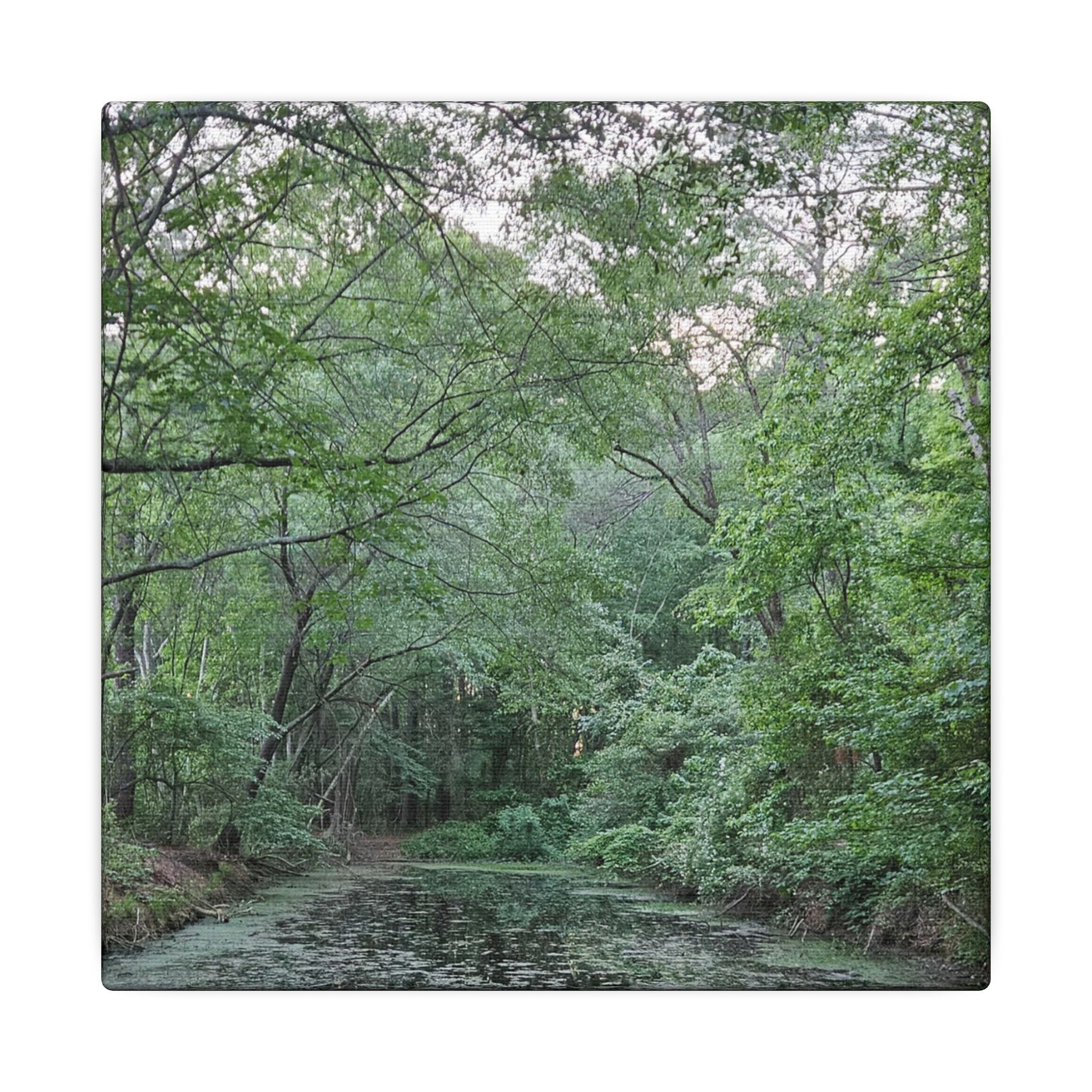 Mossy Pond Canvas Matte Stretched Wall Art