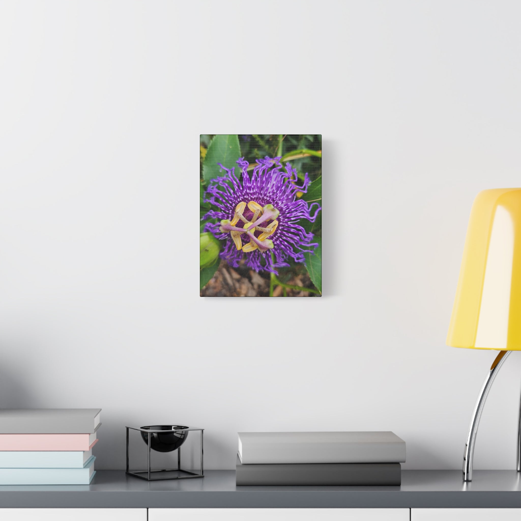 Purple Passionflower Close-Up Matte Canvas Print (Stretched)