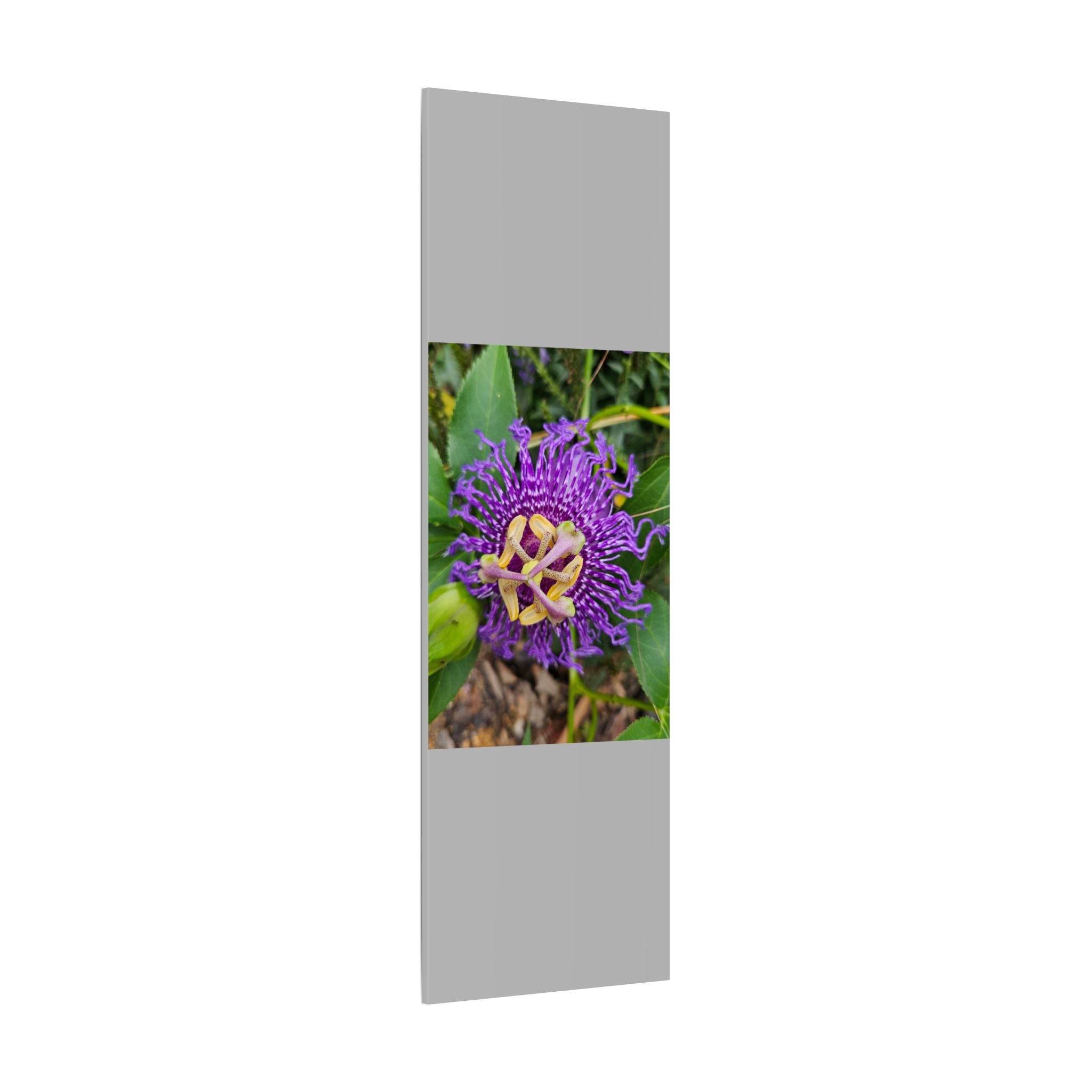 Purple Passionflower Botanical Canvas