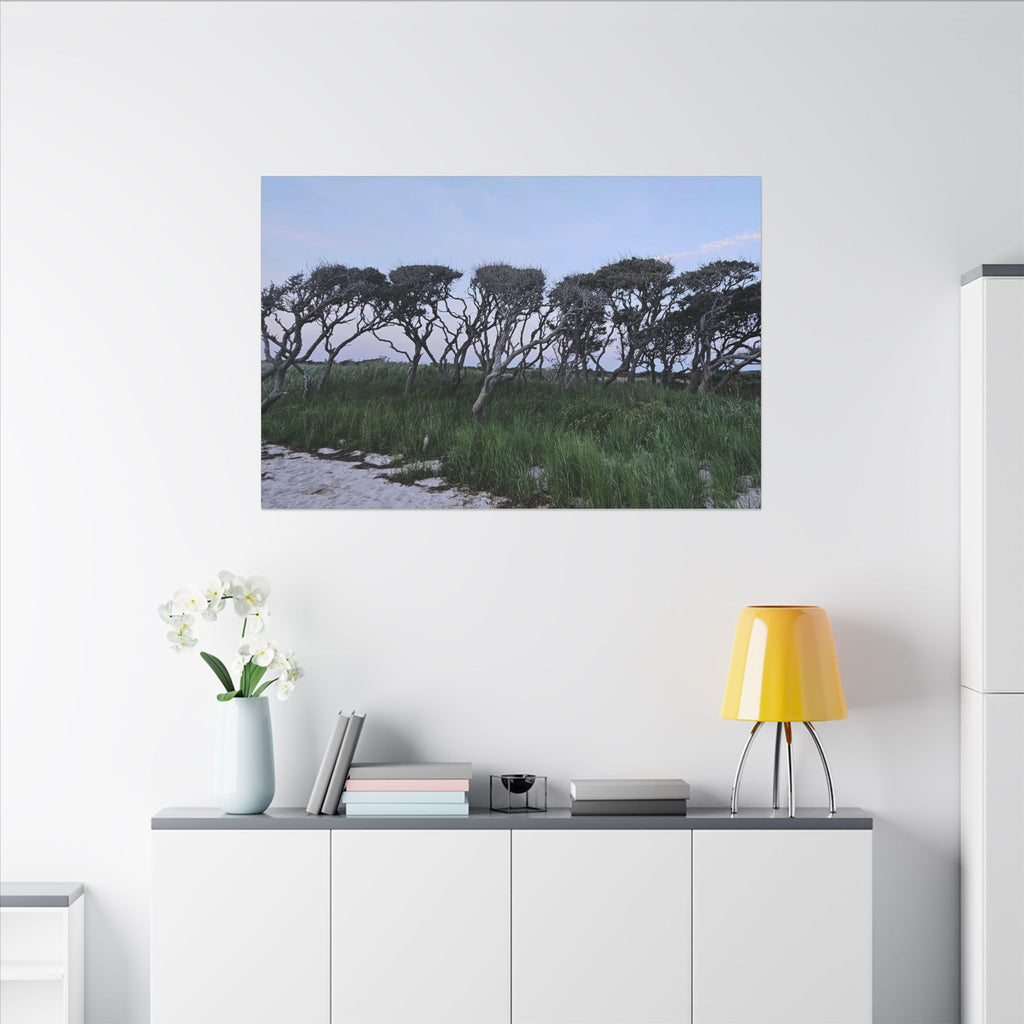 Coastal Windblown Trees Canvas