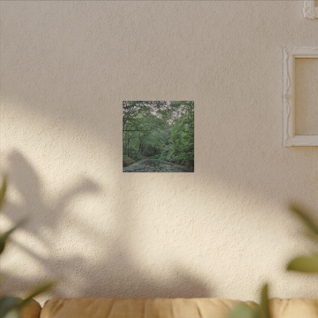 Mossy Pond Canvas Matte Stretched Wall Art