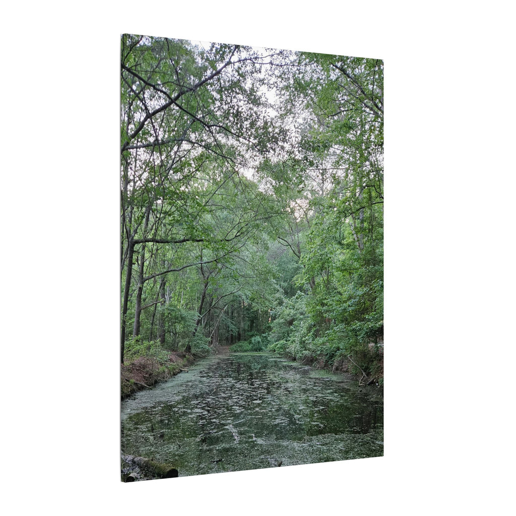 Mossy Pond Canvas Matte Stretched Wall Art