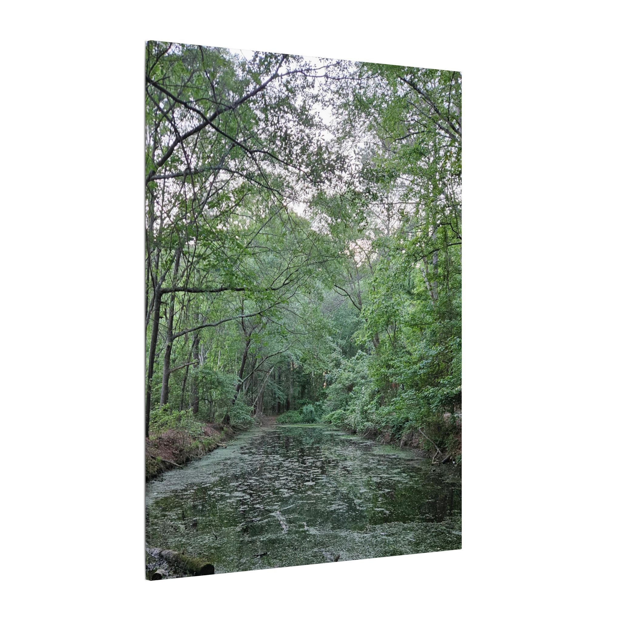 Mossy Pond Canvas Matte Stretched Wall Art