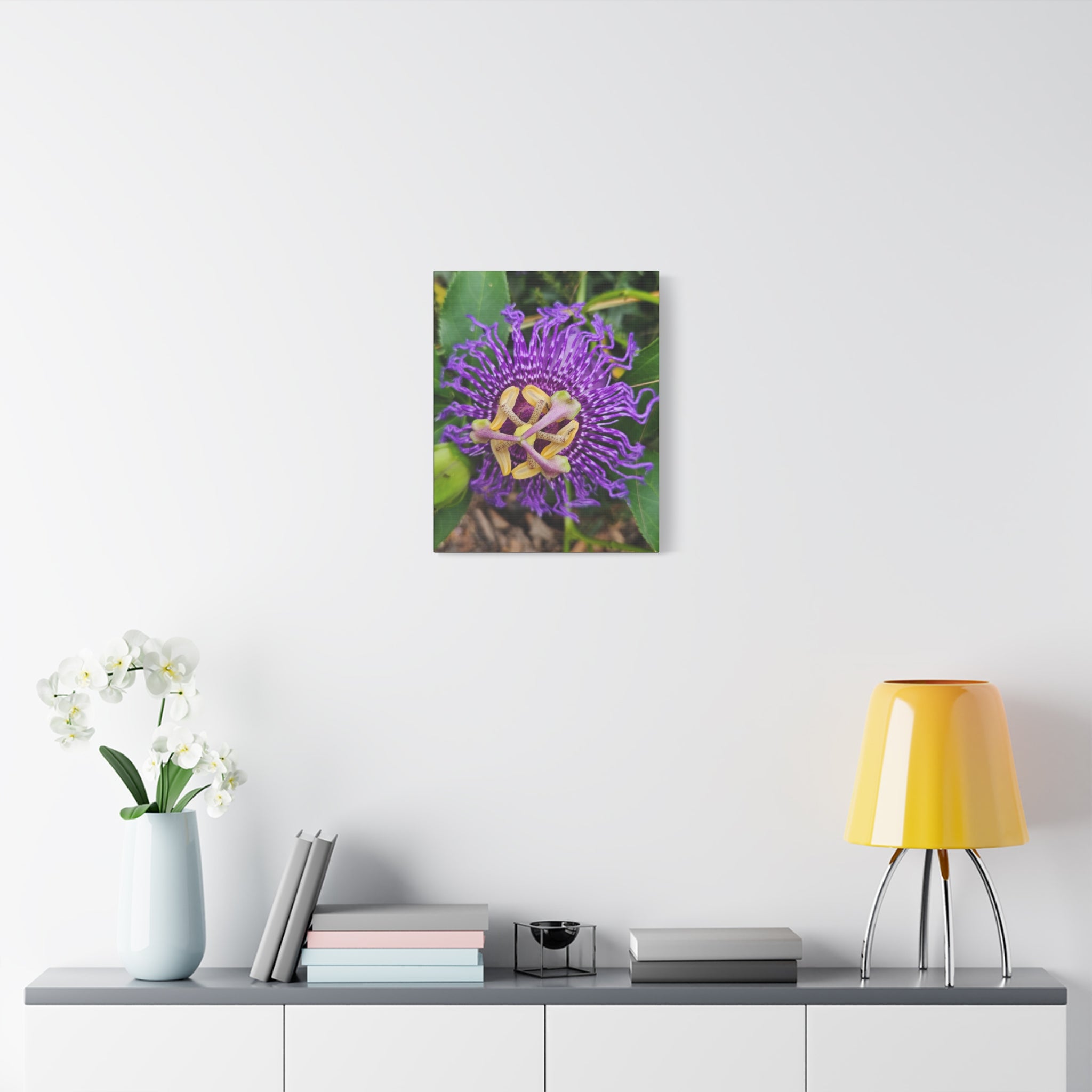 Purple Passionflower Close-Up Matte Canvas Print (Stretched)