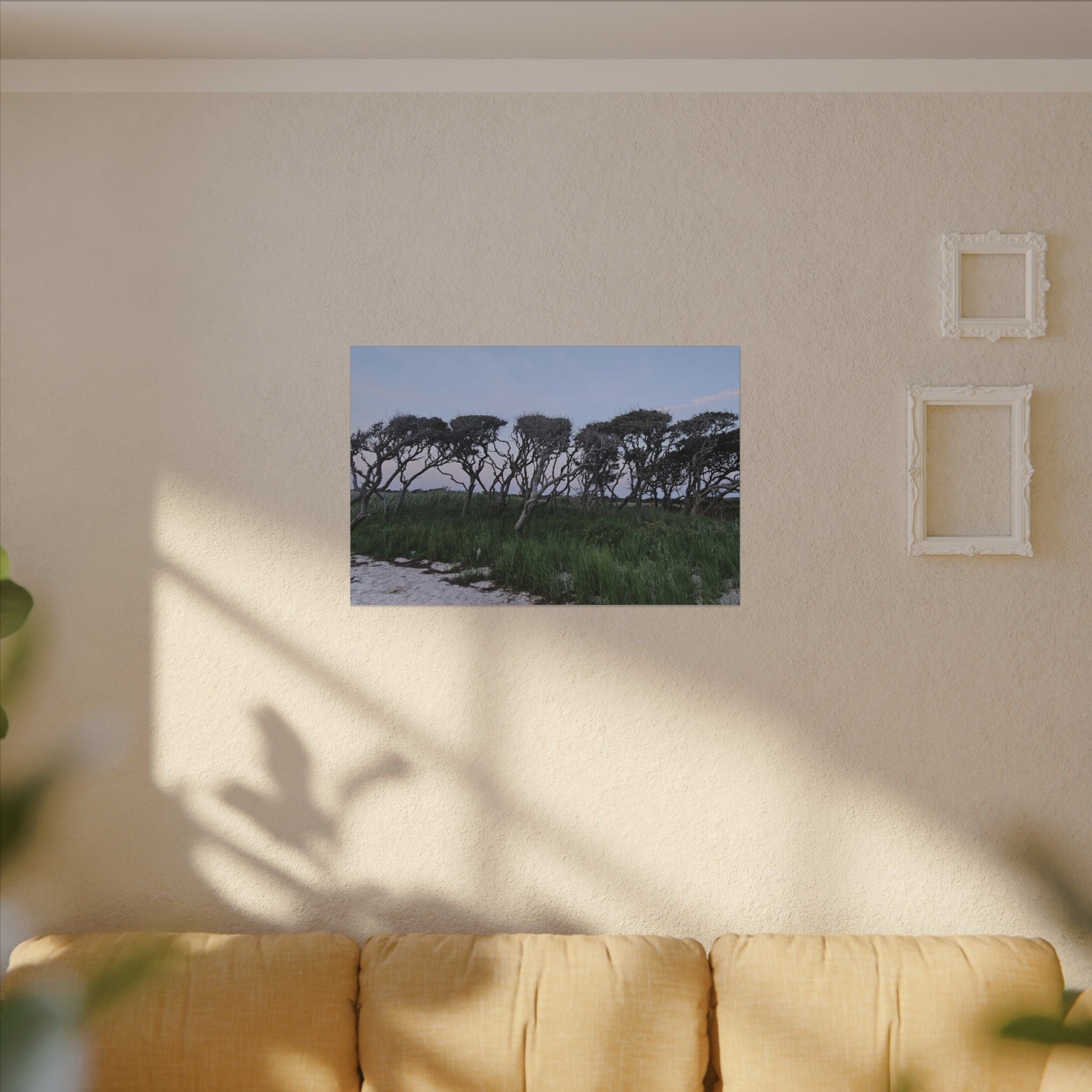 Coastal Windblown Trees Canvas