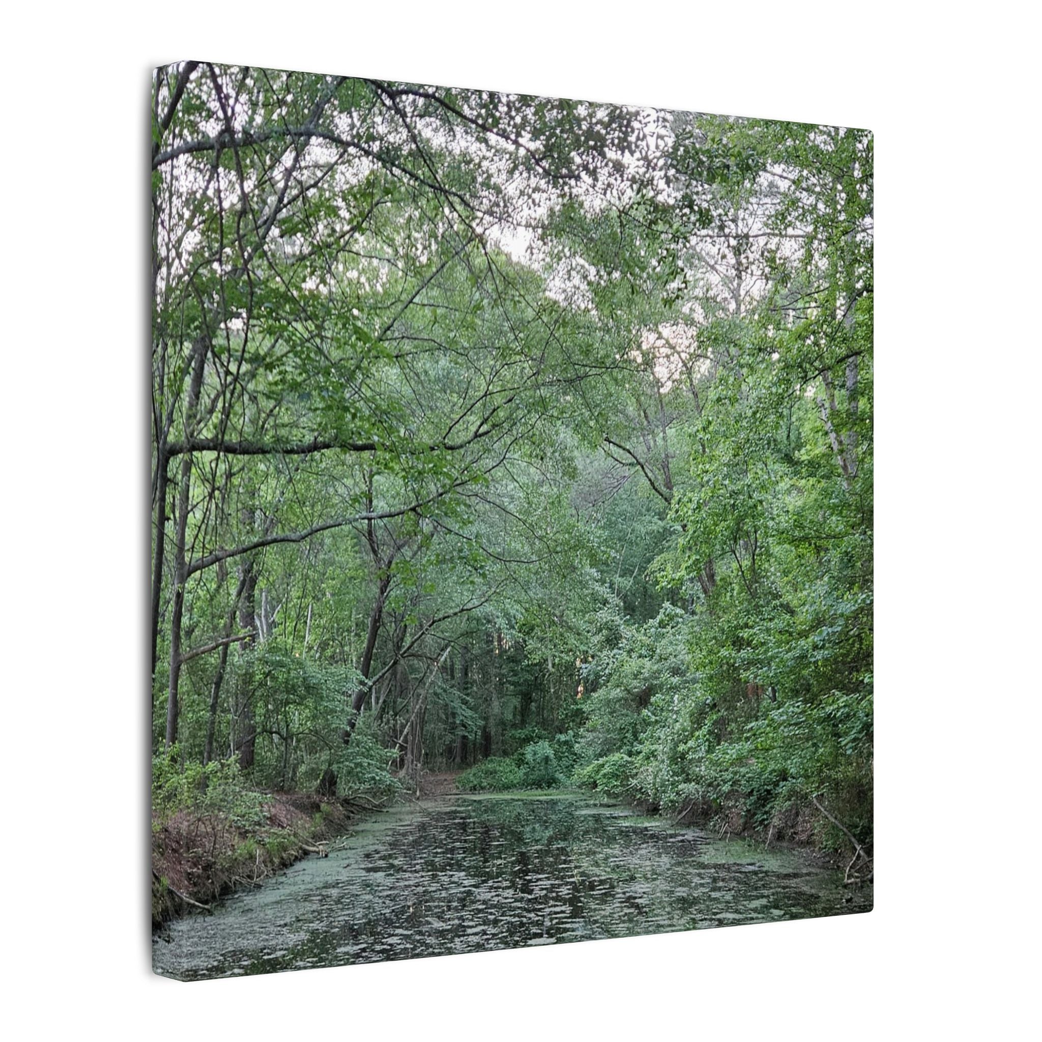 Mossy Pond Canvas Matte Stretched Wall Art