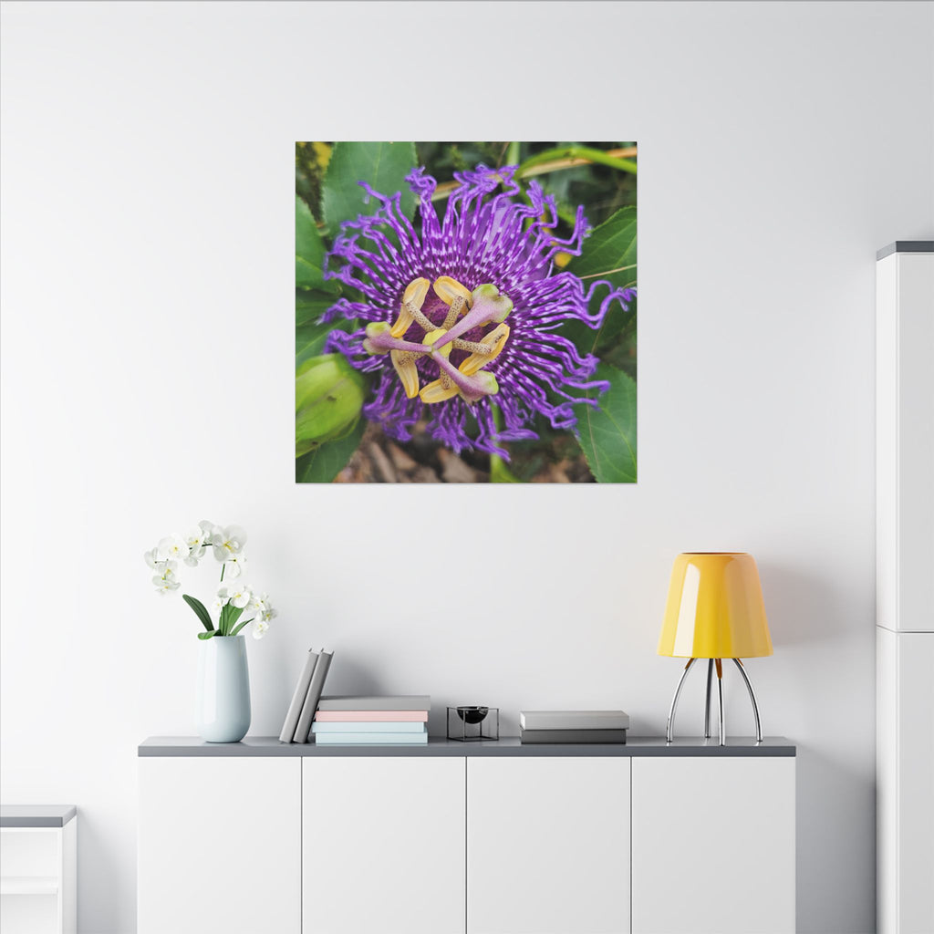 Purple Passionflower Botanical Canvas